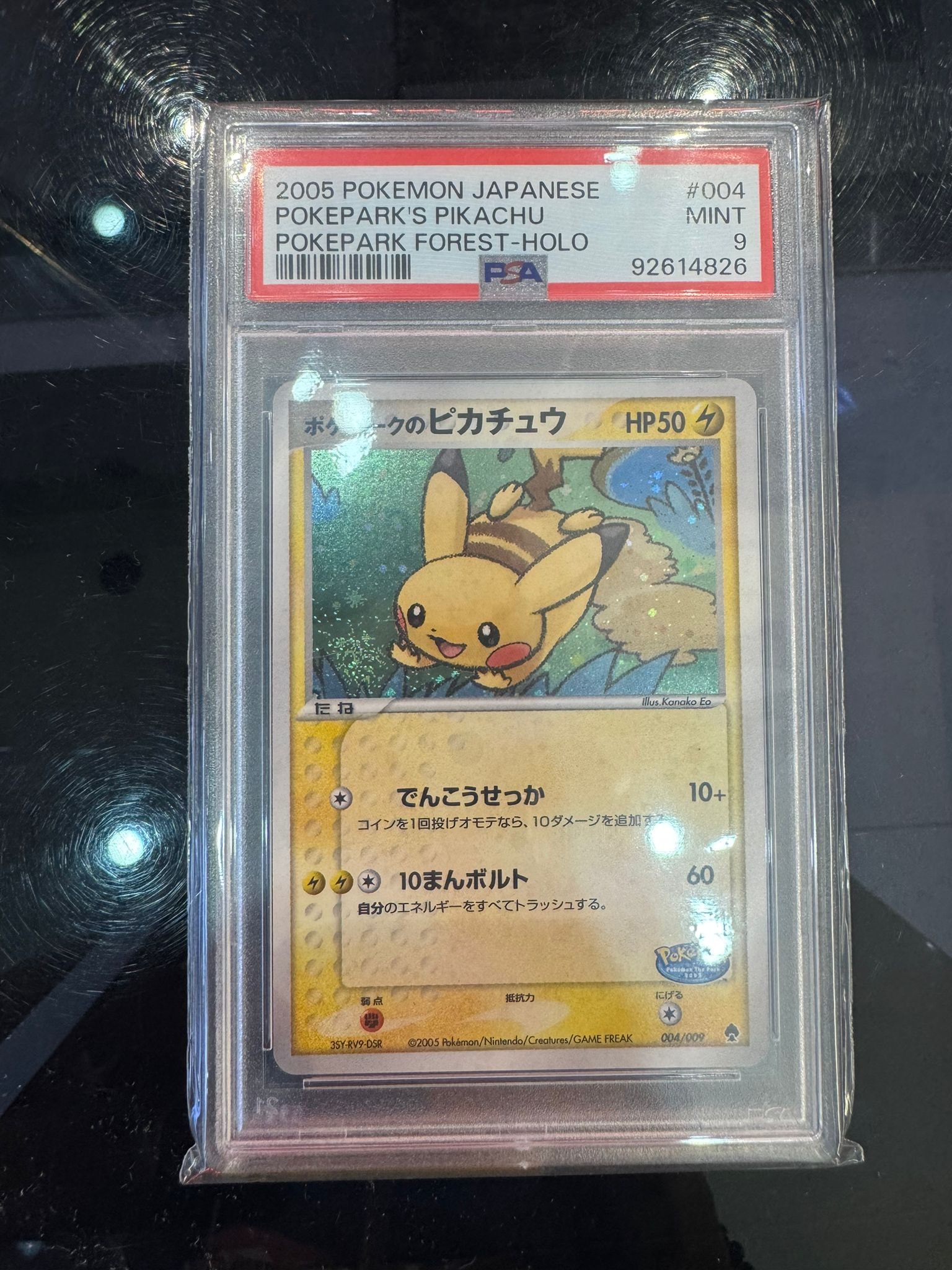 ポケパークのピカチュウ [PCG 004/009](ポケパークプレミアムファイル