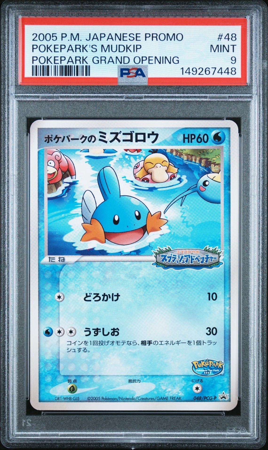 ポケパークのミズゴロウ P [PCG-P 048](プロモーションカード