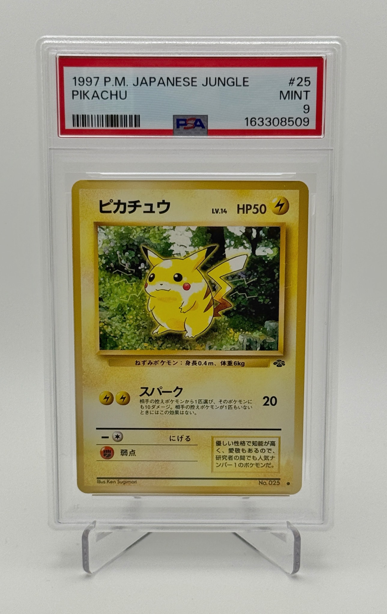 ピカチュウ ○ : 旧裏 [PMCG2 No.025](拡張パック「ポケモンジャングル