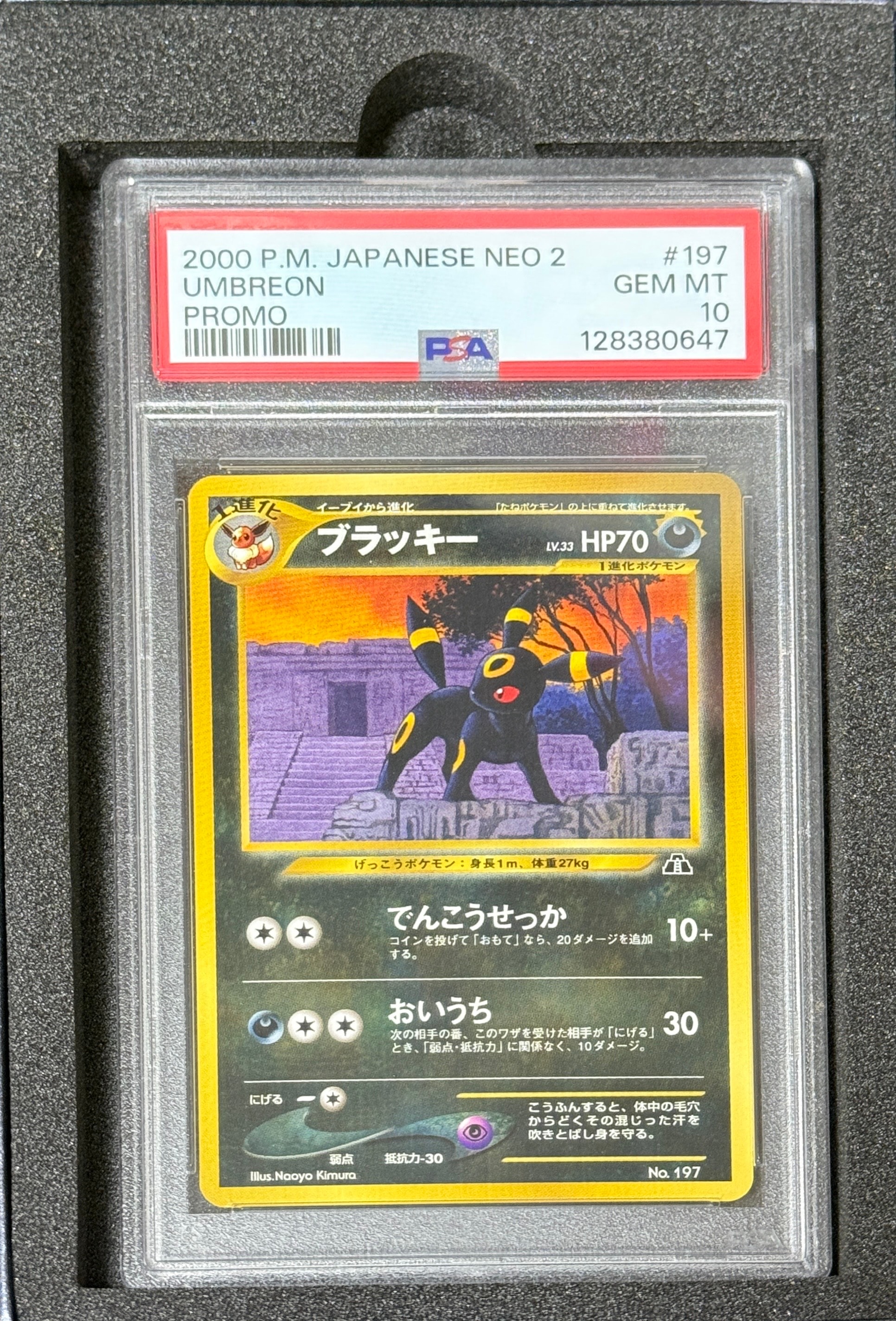 PSA10】ブラッキープレミアムファイル2: 旧裏[neoP2 No.197