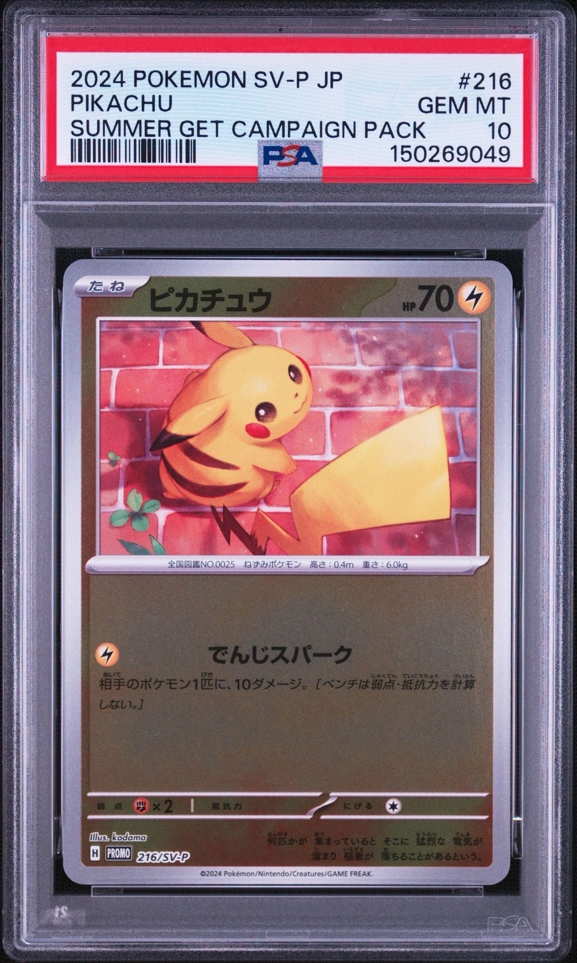 ピカチュウ P [SV-P 216](プロモカードパック「ポケカの夏がキタ