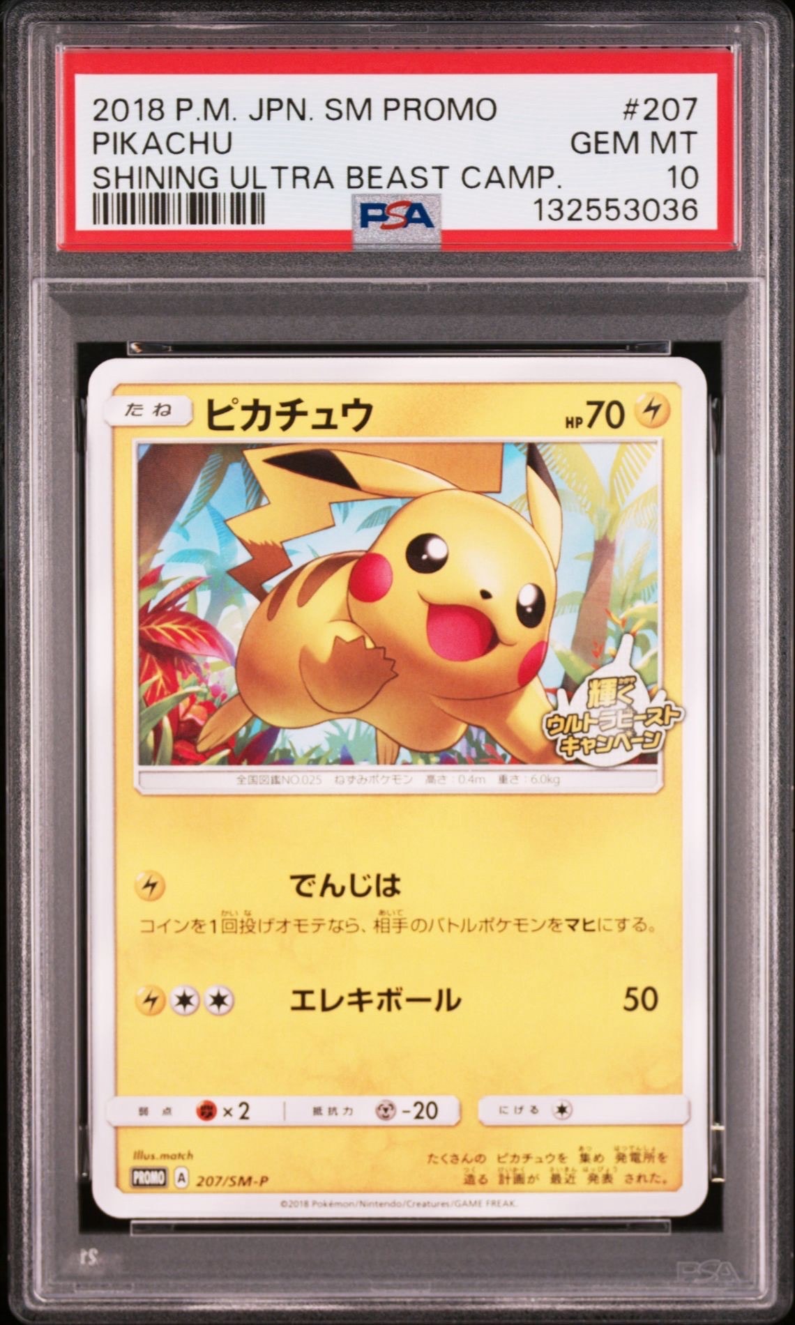 ピカチュウ: プロモ [SM-P 207](プロモーションカード「SM-P」)