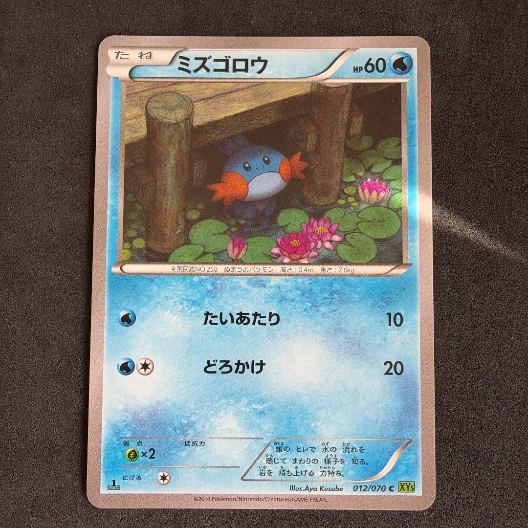 ミズゴロウ C :1ED [XY5 012/070](拡張パック「タイダルストーム」)