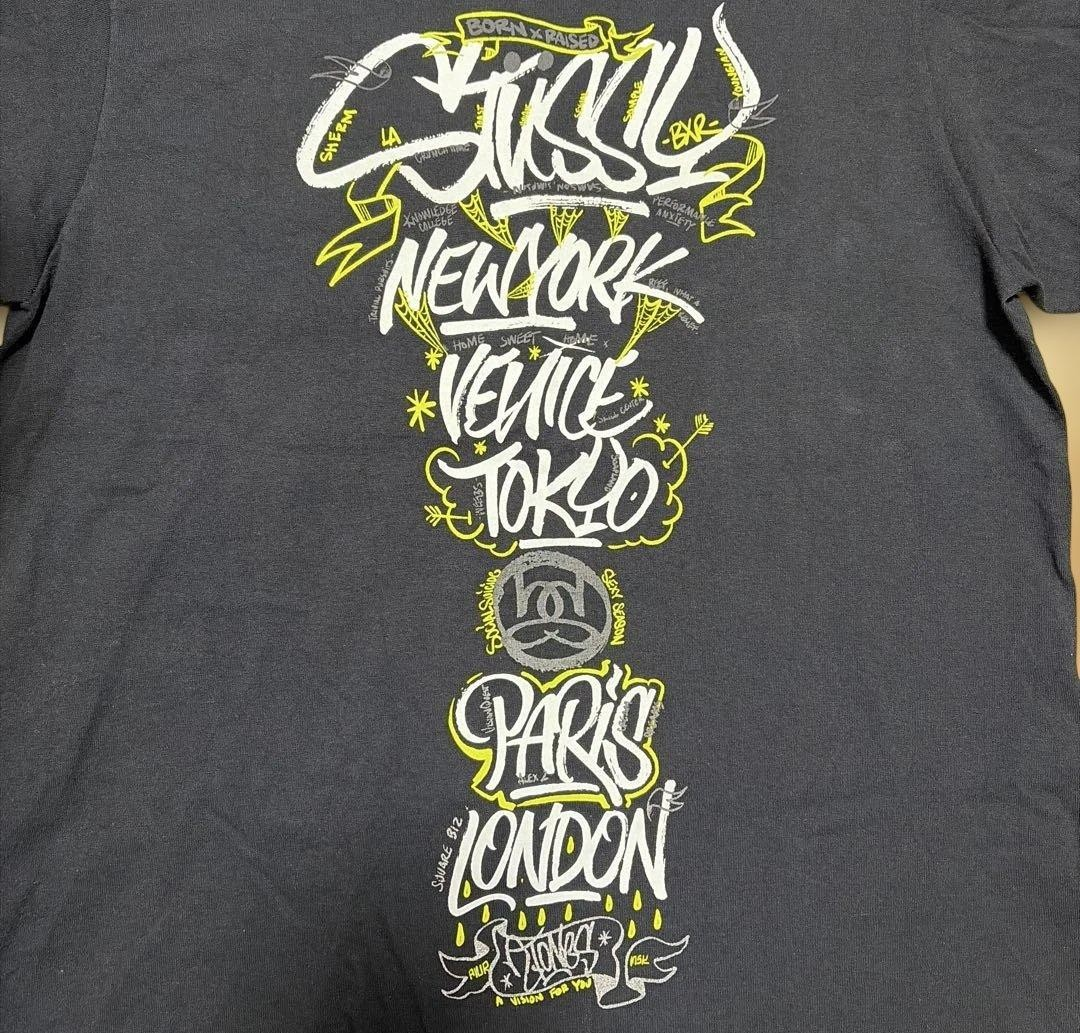 Stussy Hawaii Exclusive Honolulu S/S T-Shirt 