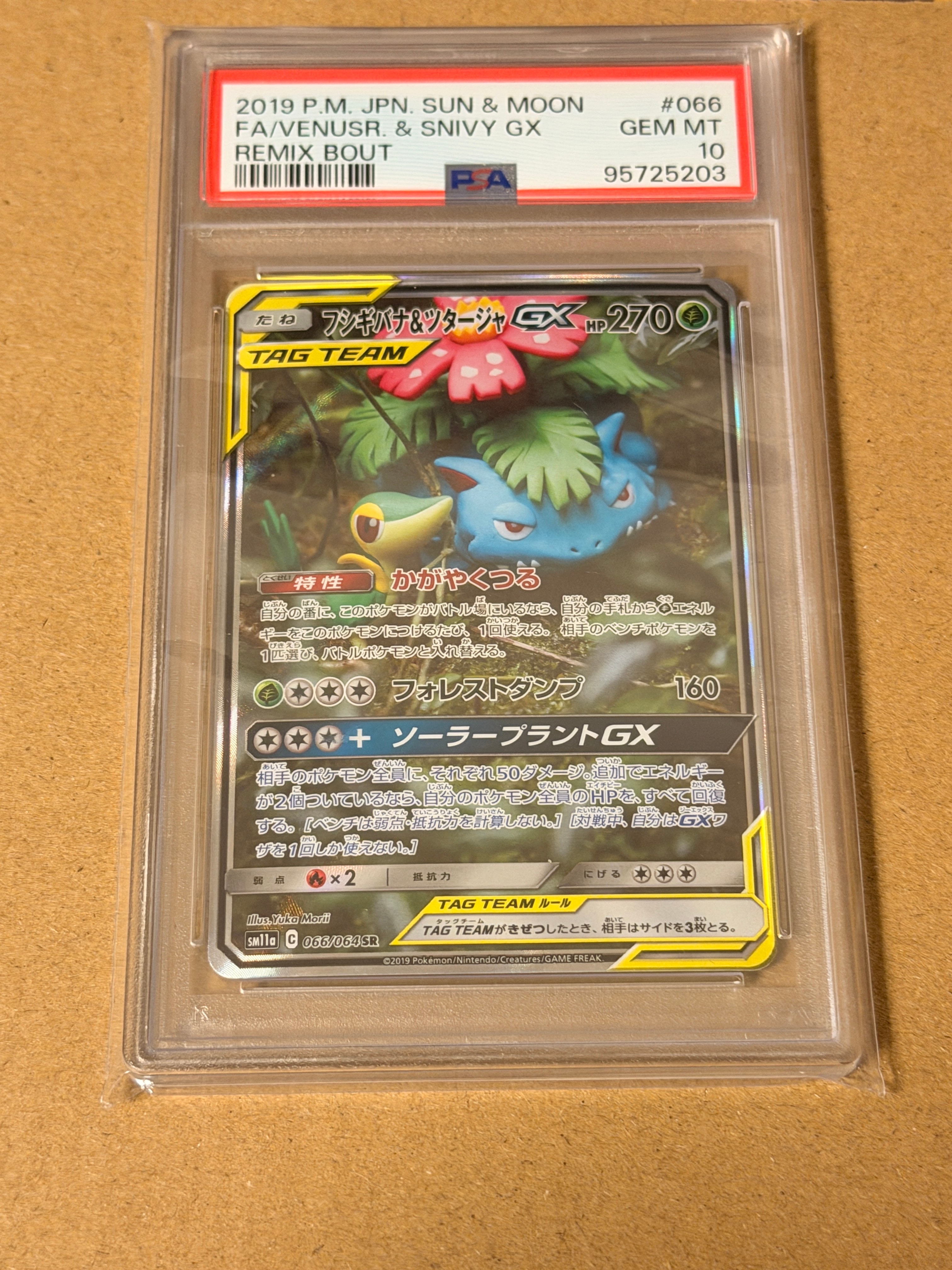 PSA10】フシギバナ&ツタージャGX SR: SA[SM11a 066/064](強化拡張