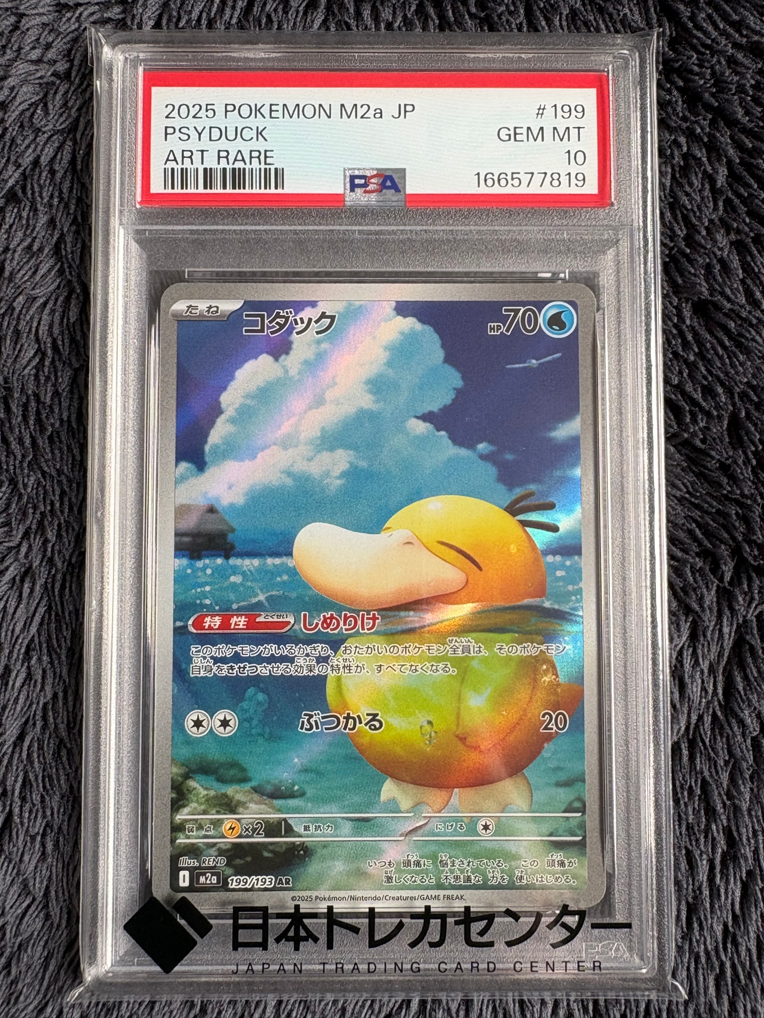 コダック AR [M2a 199/193](ハイクラスパック「MEGAドリームex」)通販