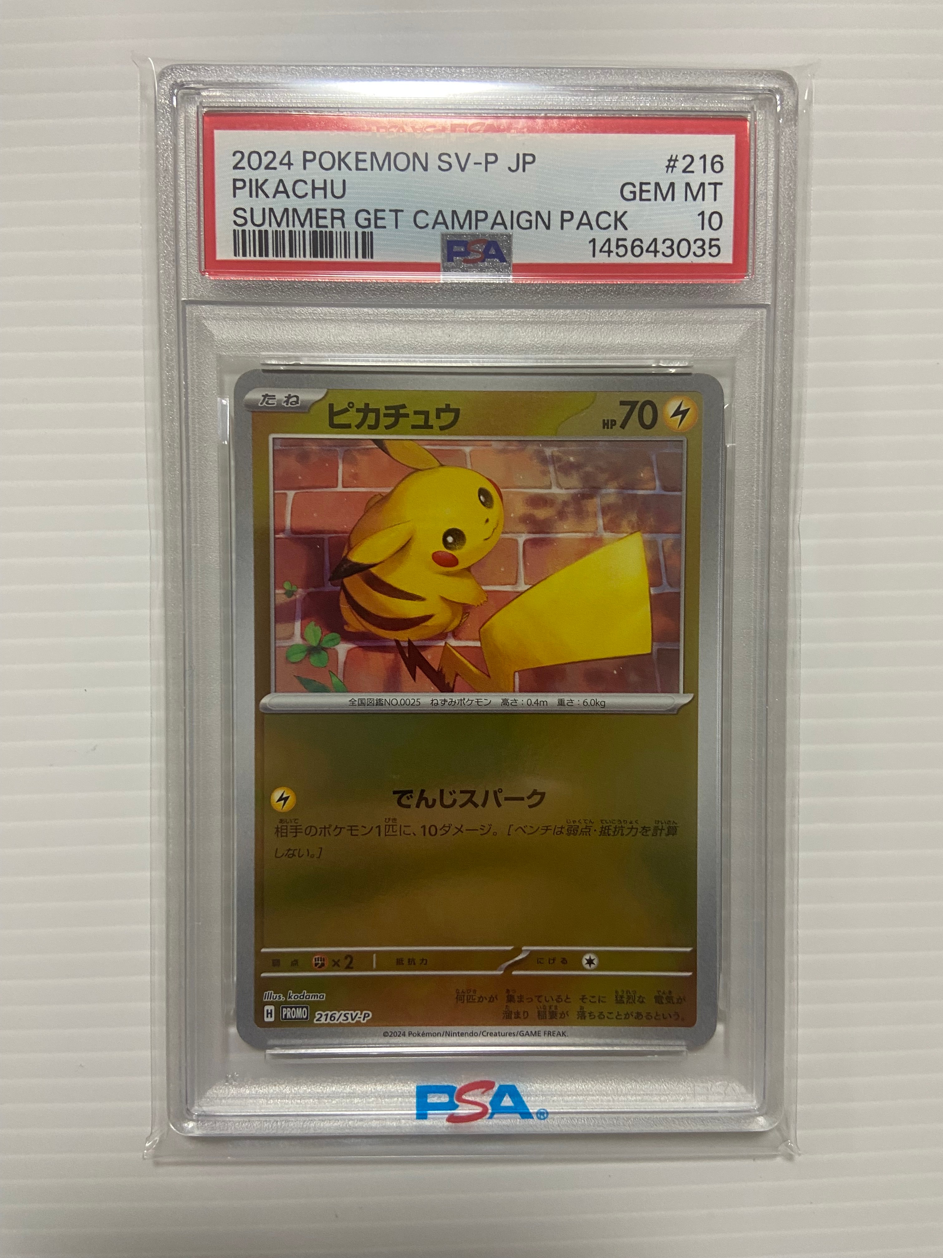 ピカチュウ P [SV-P 216](プロモカードパック「ポケカの夏がキタ!プロモカードGetキャンペーン!」)