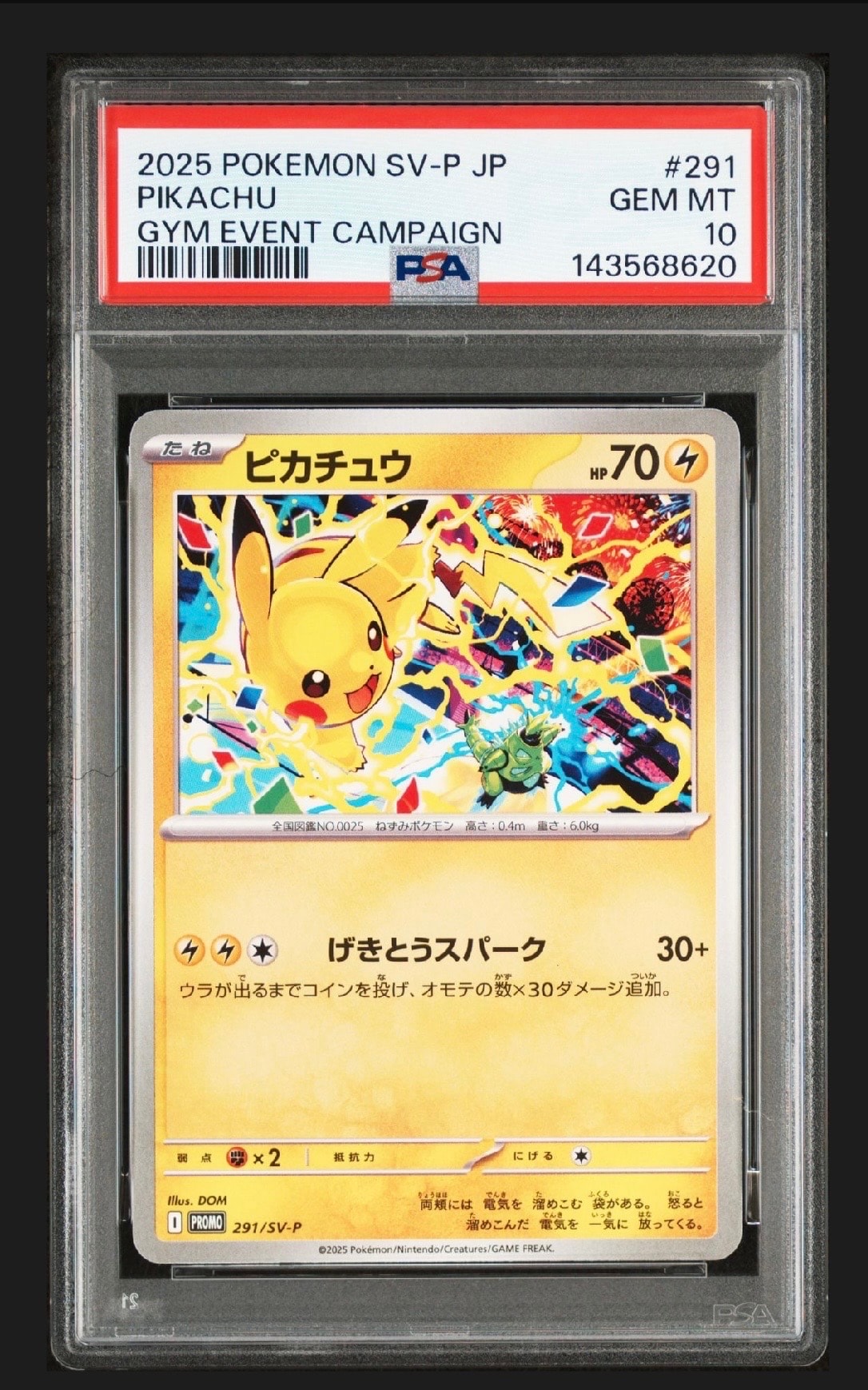 ピカチュウ P [SV-P 291](プロモーションカード「SV-P」)
