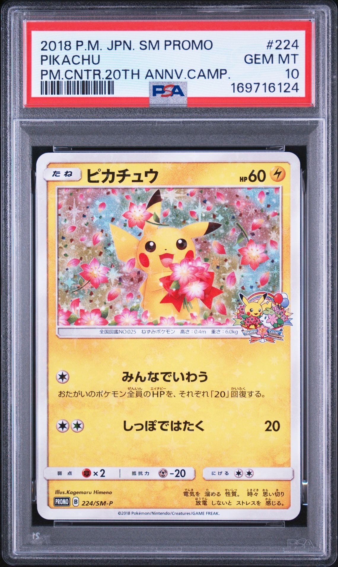 ピカチュウ: プロモ[SM-P 224](プロモーションカード「SM-P」)通販
