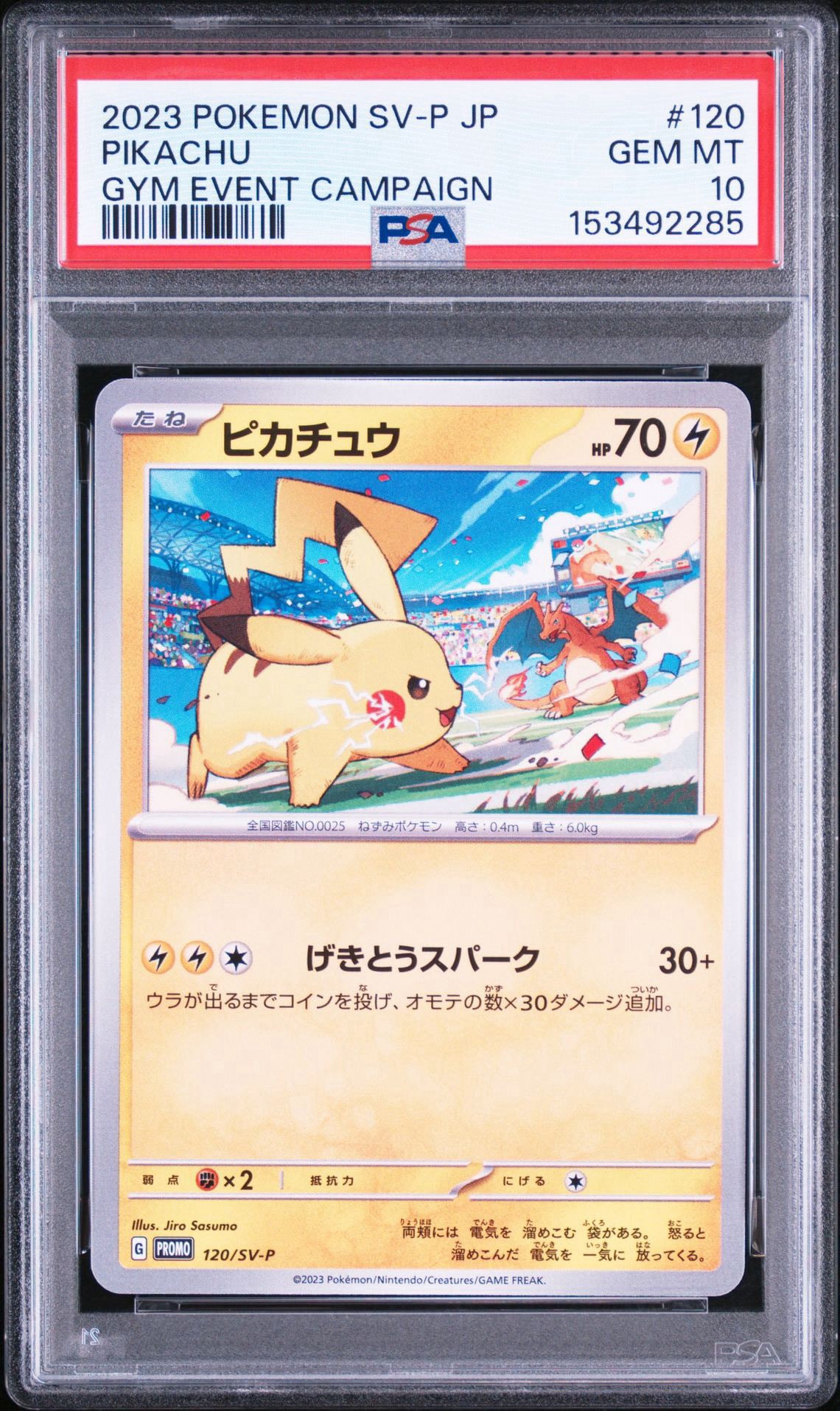 PSA10ピカチュウ PROMO SV-Pプロモカード 120/SV-P PSA10】 ピカチュウ PSA10ピカチュウ PROMO SV-Pプロモカード 120/SV-P PSA10】 ピカチュウ