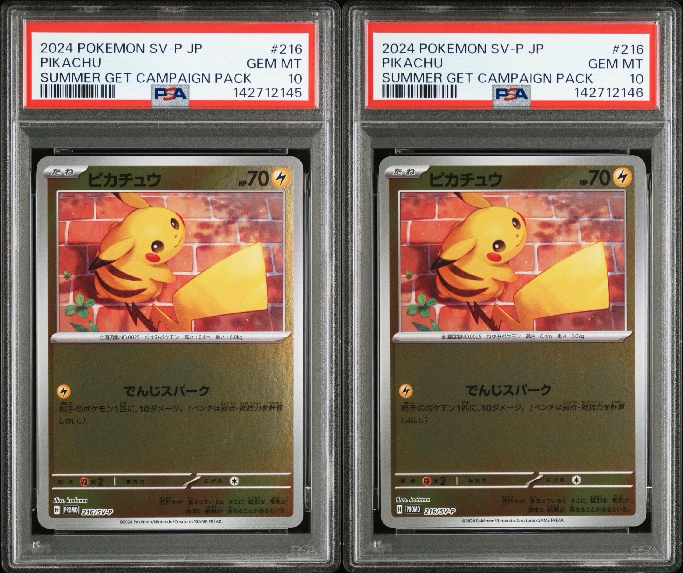 ピカチュウ P [SV-P 216](プロモカードパック「ポケカの夏がキタ
