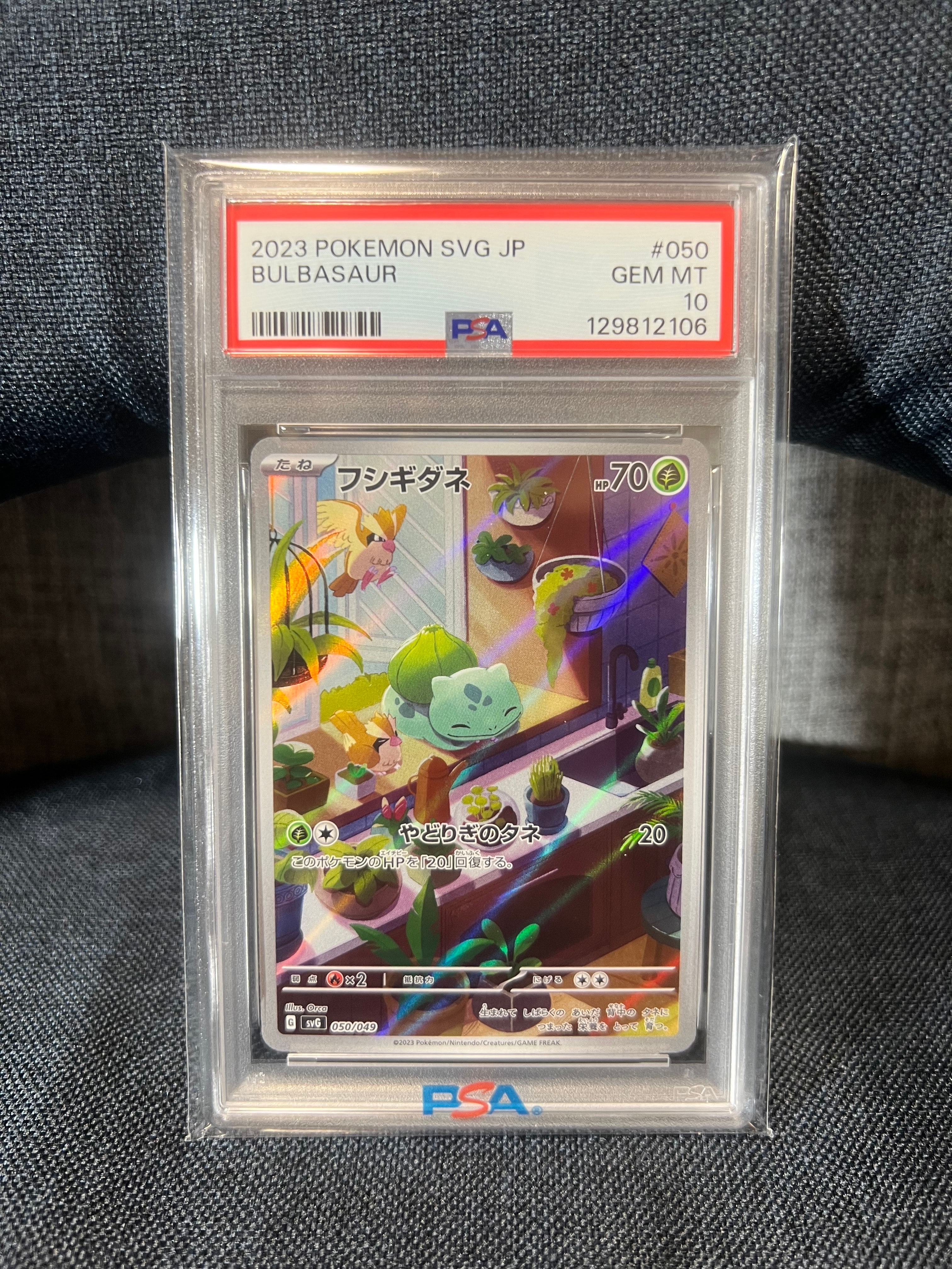 フシギダネ :フルイラスト [SVG 050/049](スペシャルデッキセットex「フシギバナ・リザードン・カメックス」)