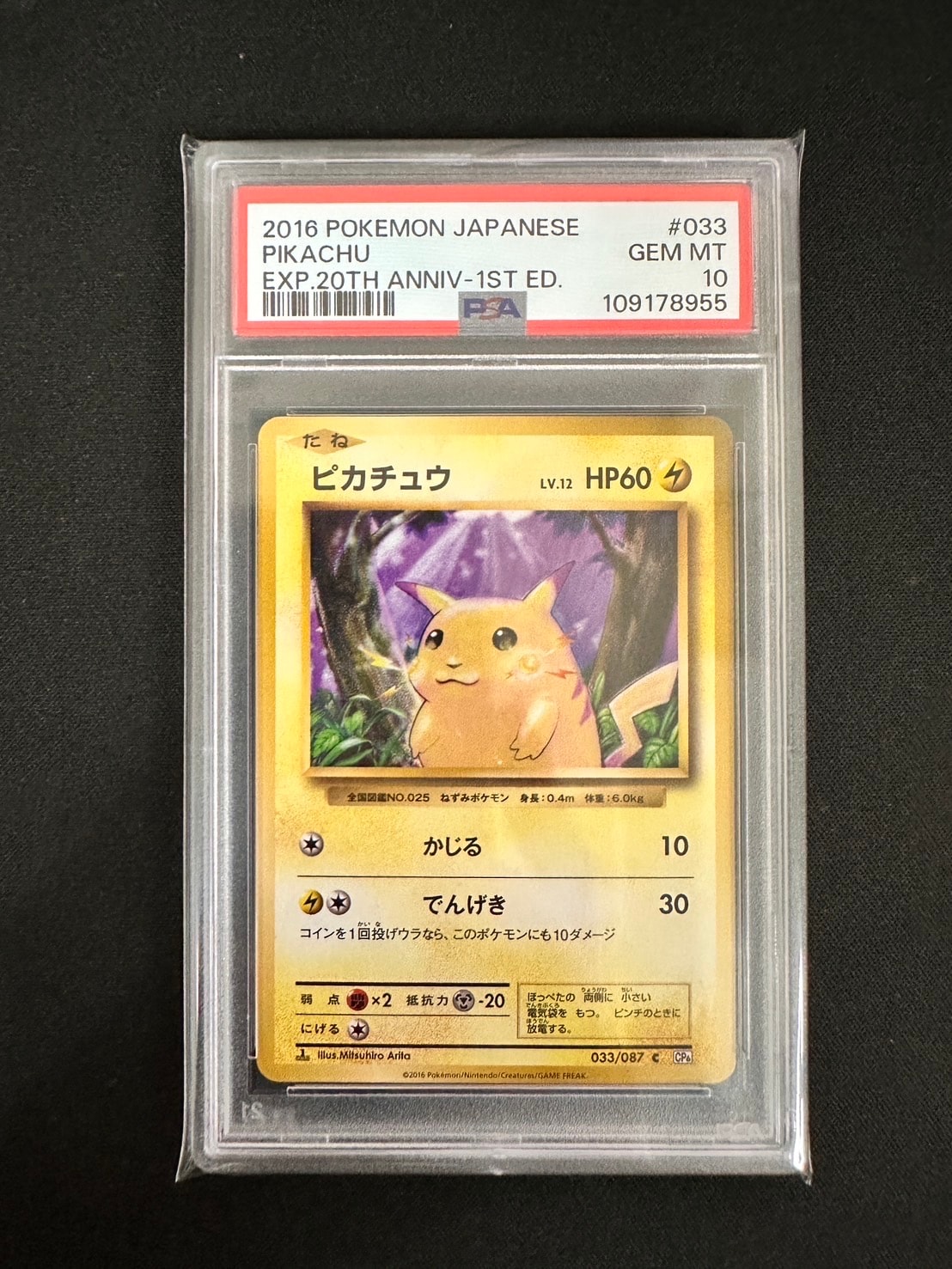 ピカチュウ C :1ED [CP6 033/087](コンセプトパック「ポケットモンスターカードゲーム 拡張パック 20th Anniversary」)