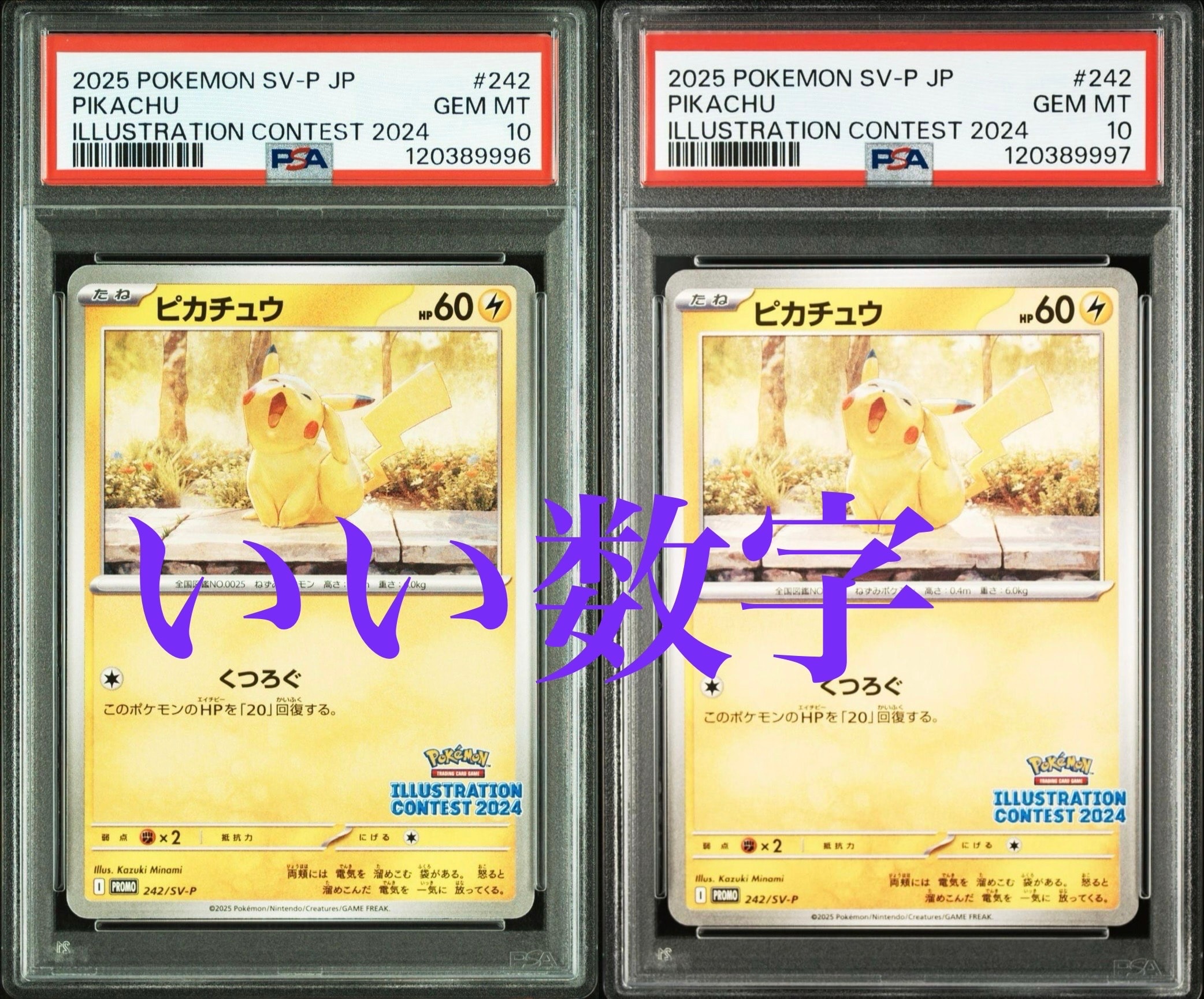 ピカチュウ [SV-P 242](プロモカードパック「イラストレーションコンテスト 2024 受賞作品プロモカード化記念キャンペーン」)