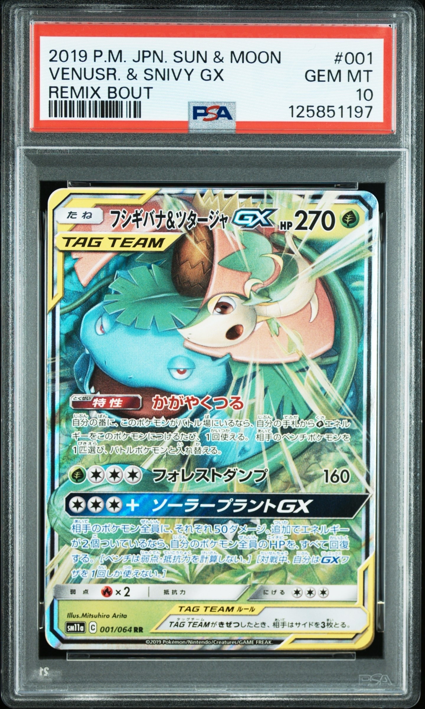フシギバナ&ツタージャGX RR [SM11a 001/064](強化拡張パック「リミックスバウト」)