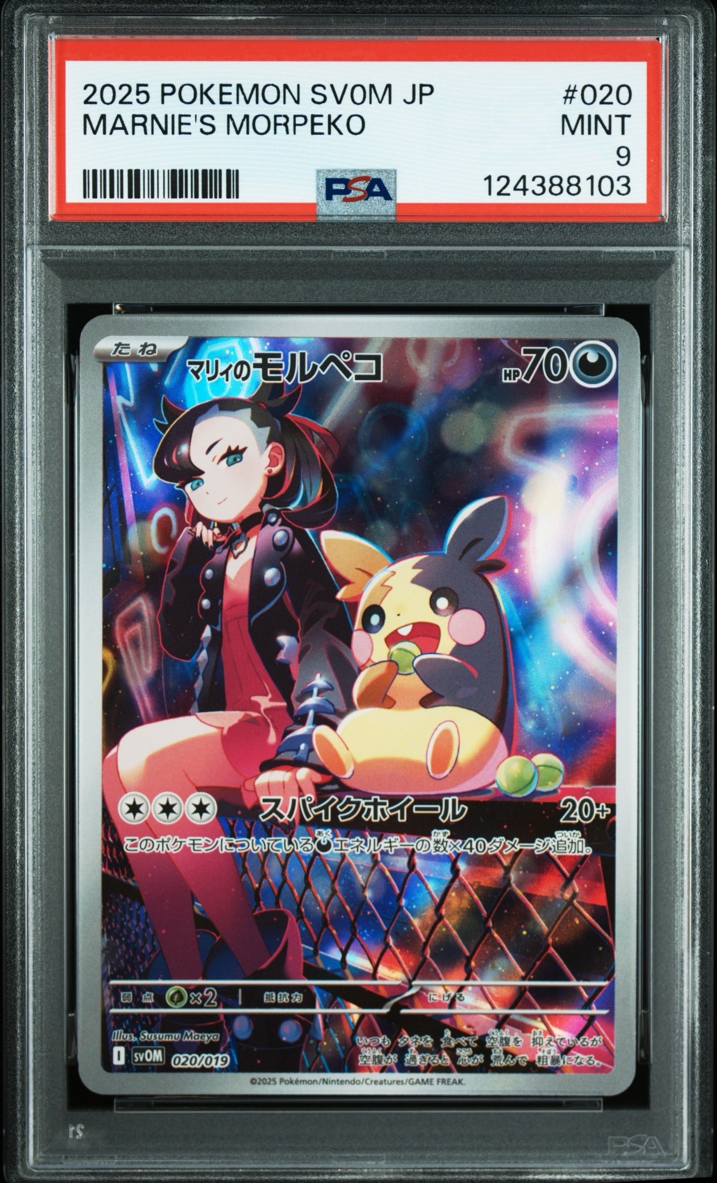 マリィのモルペコ [SVOM 020/019](スターターセットex「マリィのモルペコ＆オーロンゲex」)