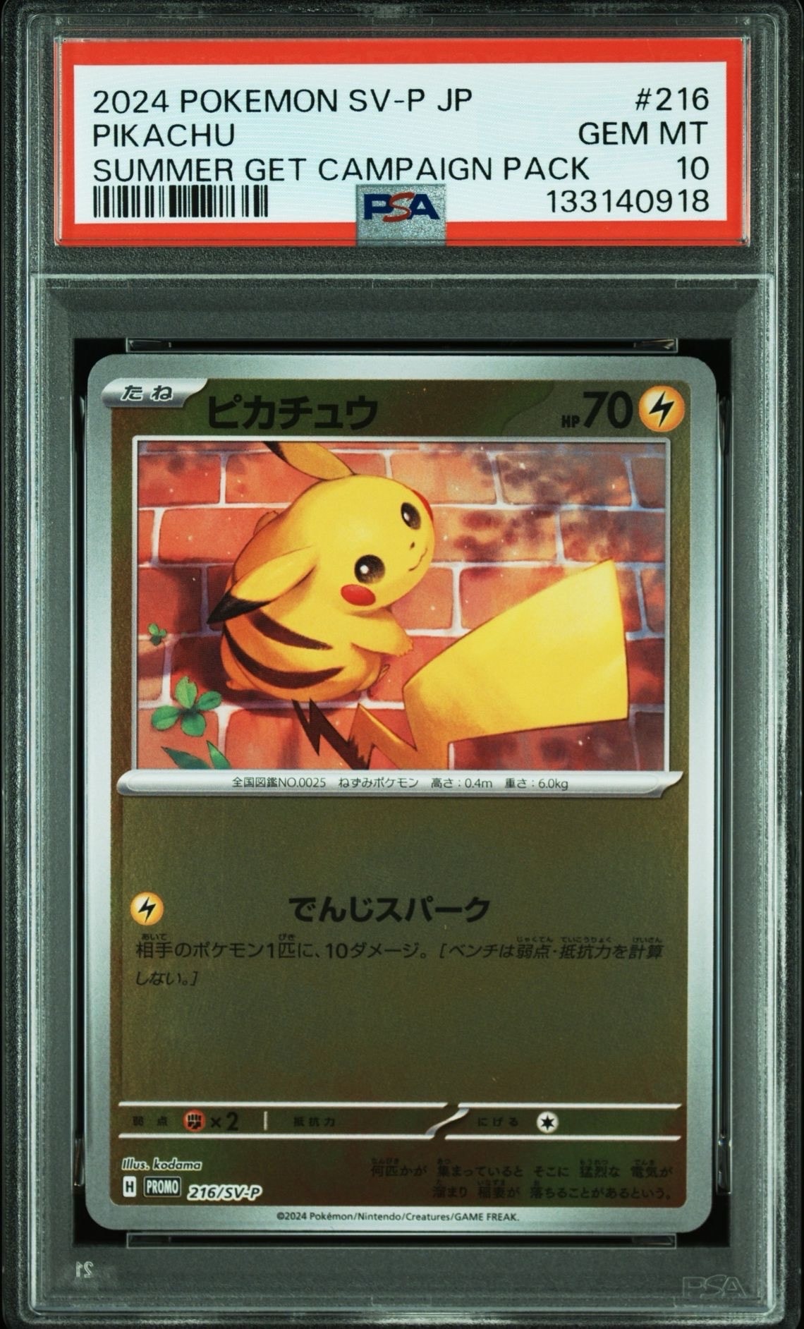 ピカチュウ P [SV-P 216](プロモカードパック「ポケカの夏がキタ!プロモカードGetキャンペーン!」)