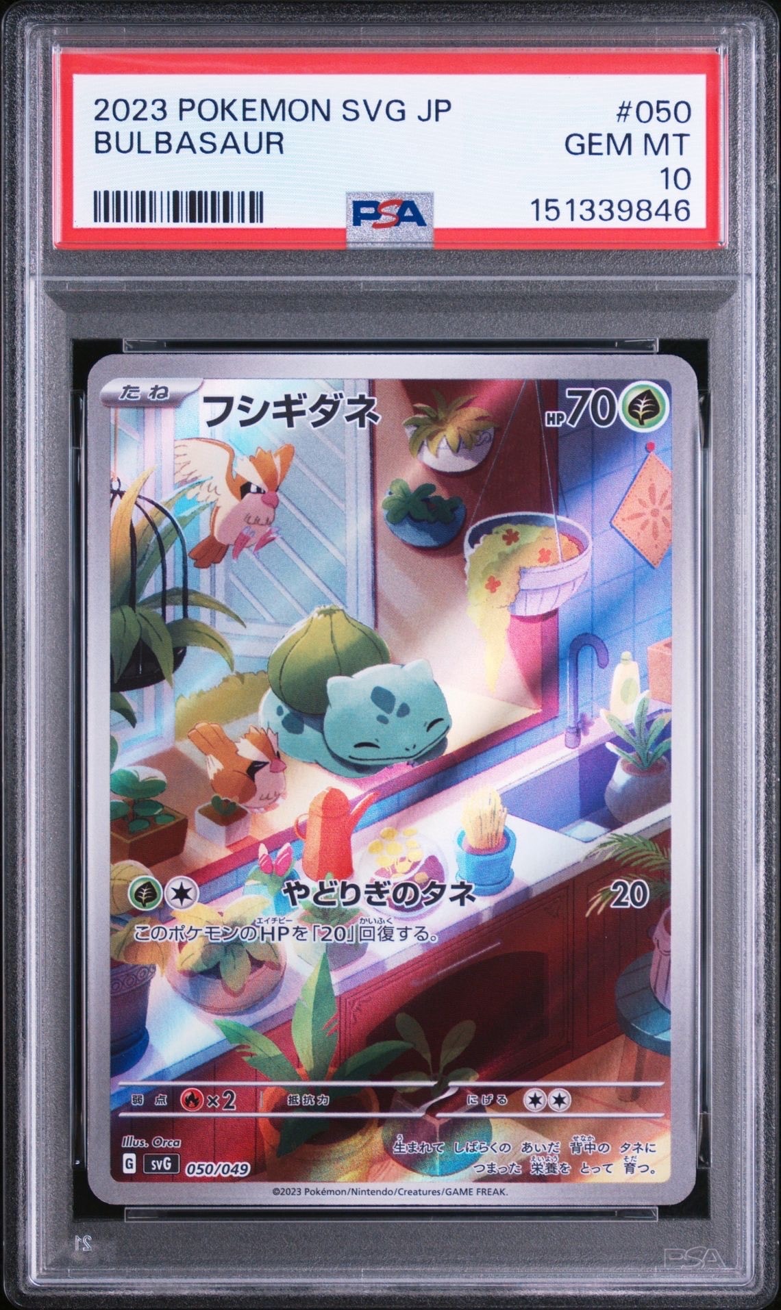 フシギダネ :フルイラスト [SVG 050/049](スペシャルデッキセットex「フシギバナ・リザードン・カメックス」)