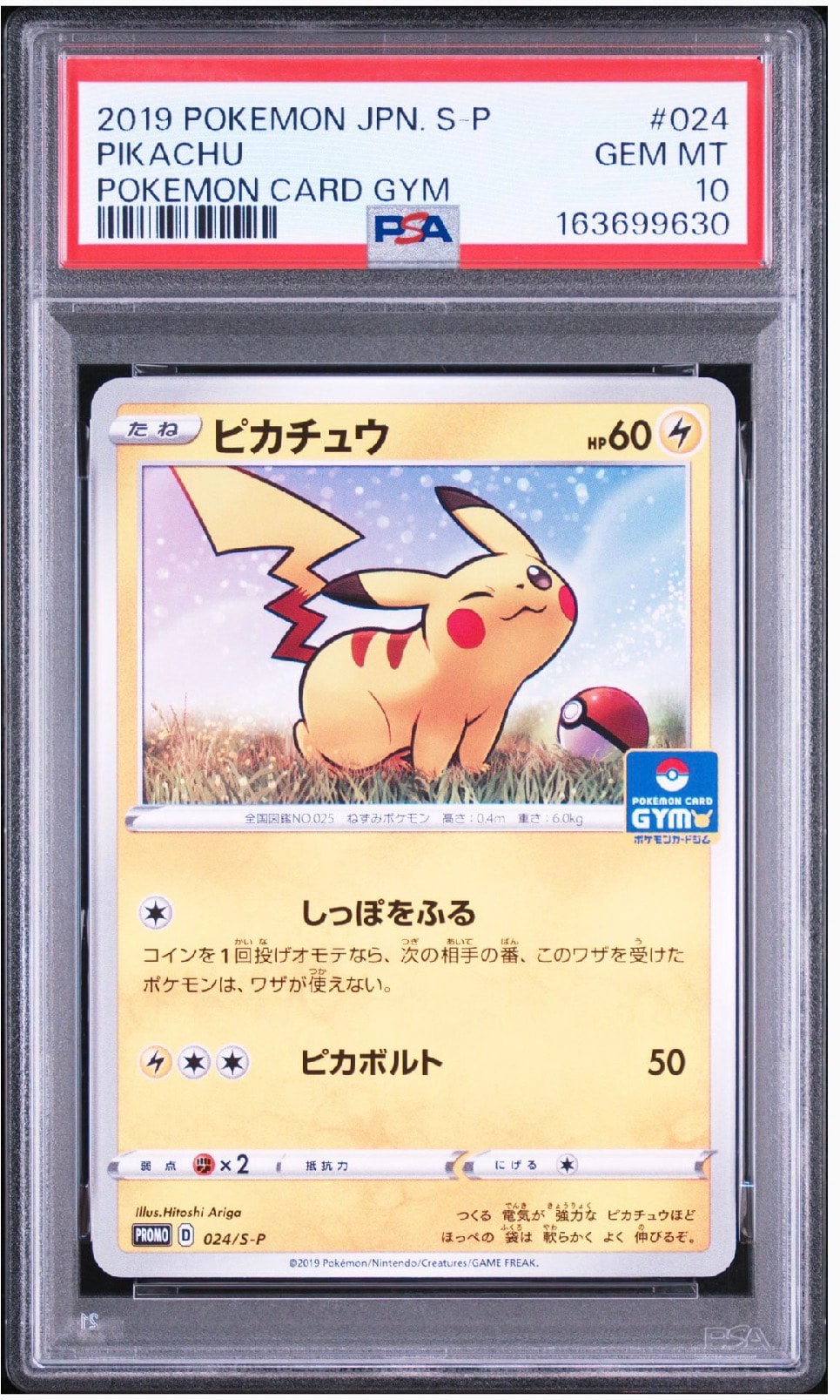 ピカチュウ: プロモ P [S-P 024](ポケモンカードゲーム ソード&シールド 「プロモカードパック 第1弾」)