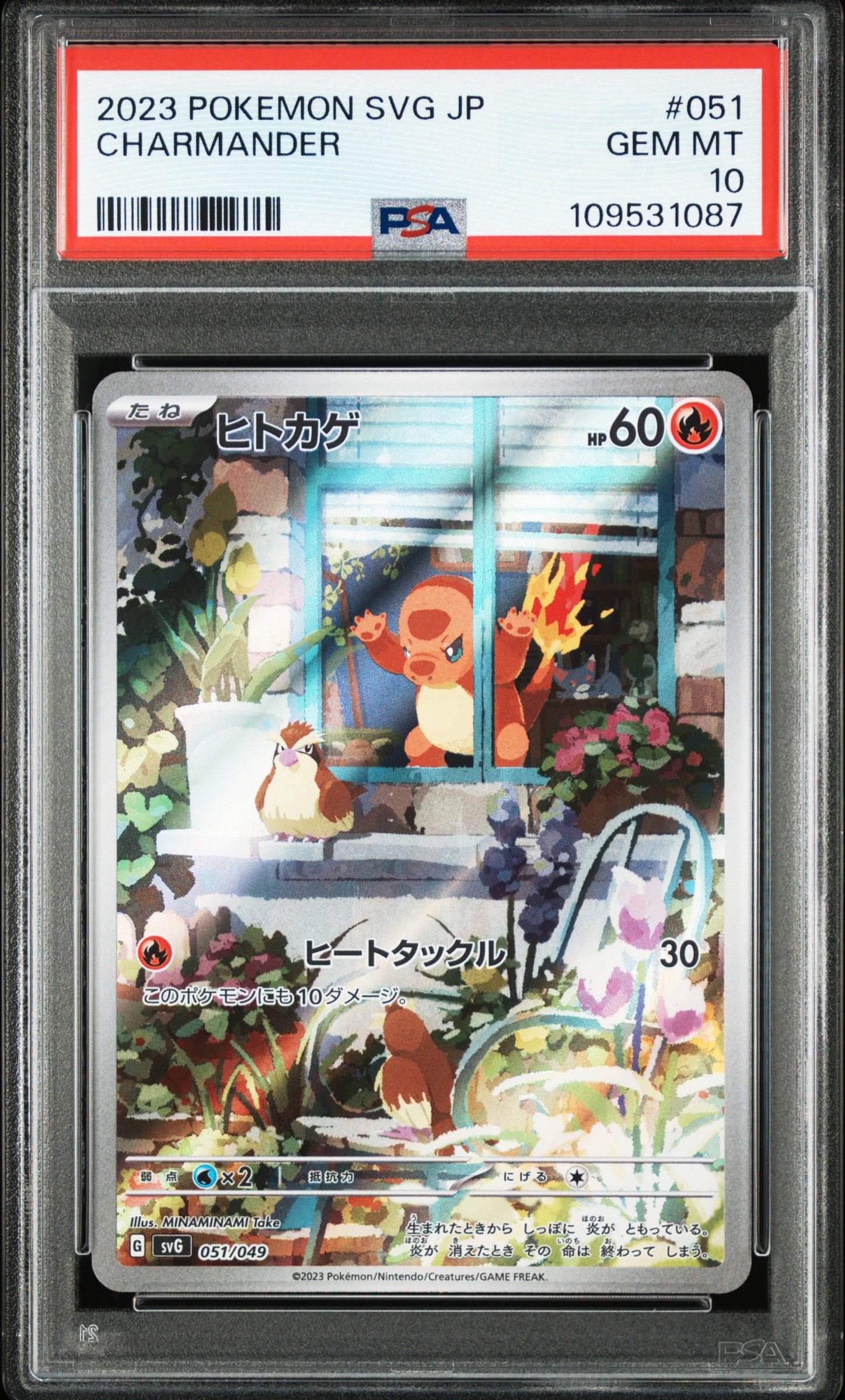 ヒトカゲ :フルイラスト [SVG 051/049](スペシャルデッキセットex「フシギバナ・リザードン・カメックス」)