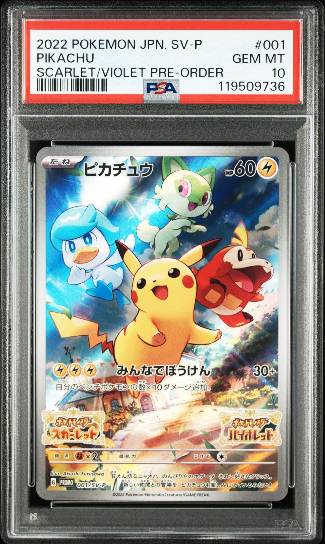 PSA10】ポッチャマ：プロモ P [S-P 232](プロジェクトポッチャマ