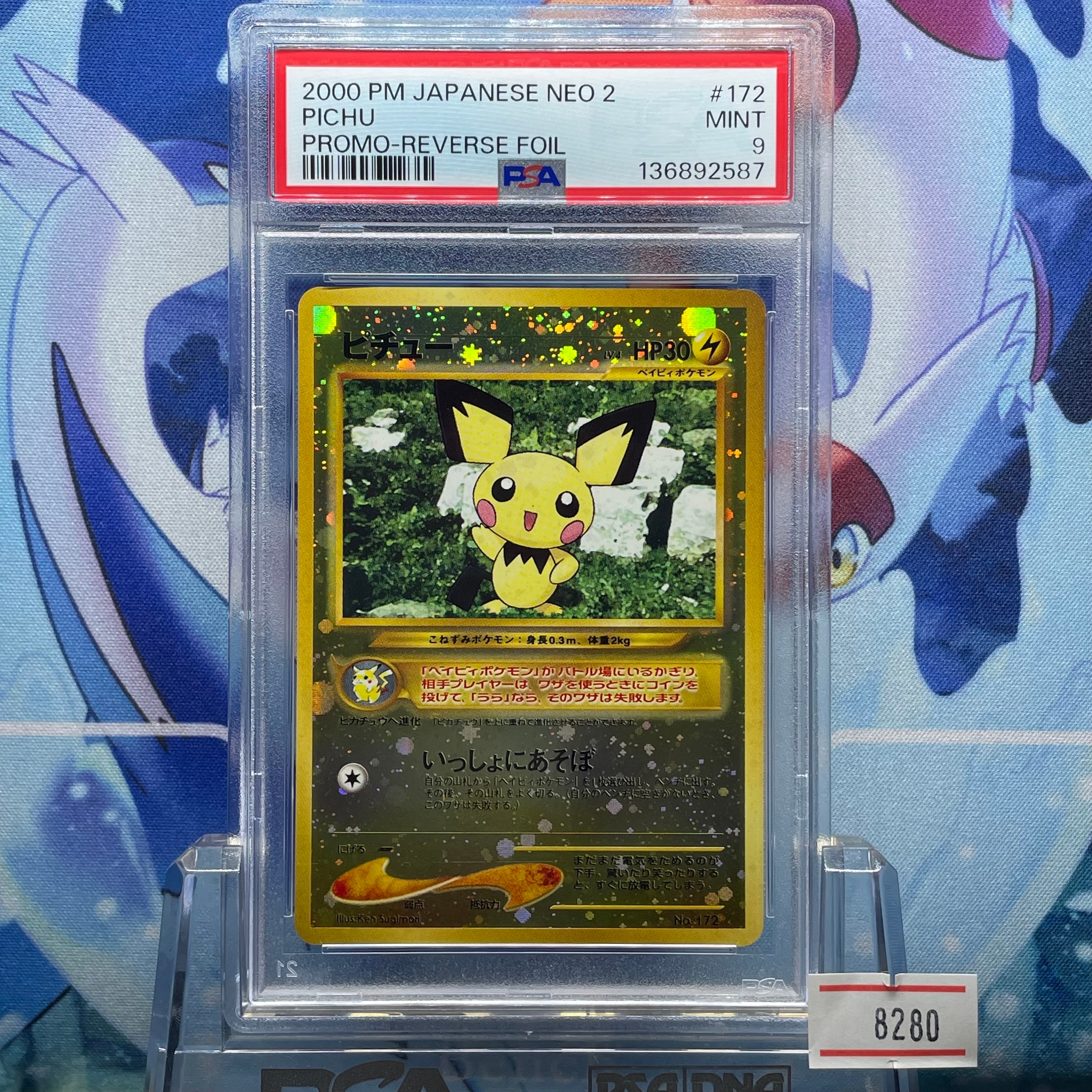 ピチュープレミアムファイル2: 旧裏[neoP2 No.172](プレミアムファイル2)