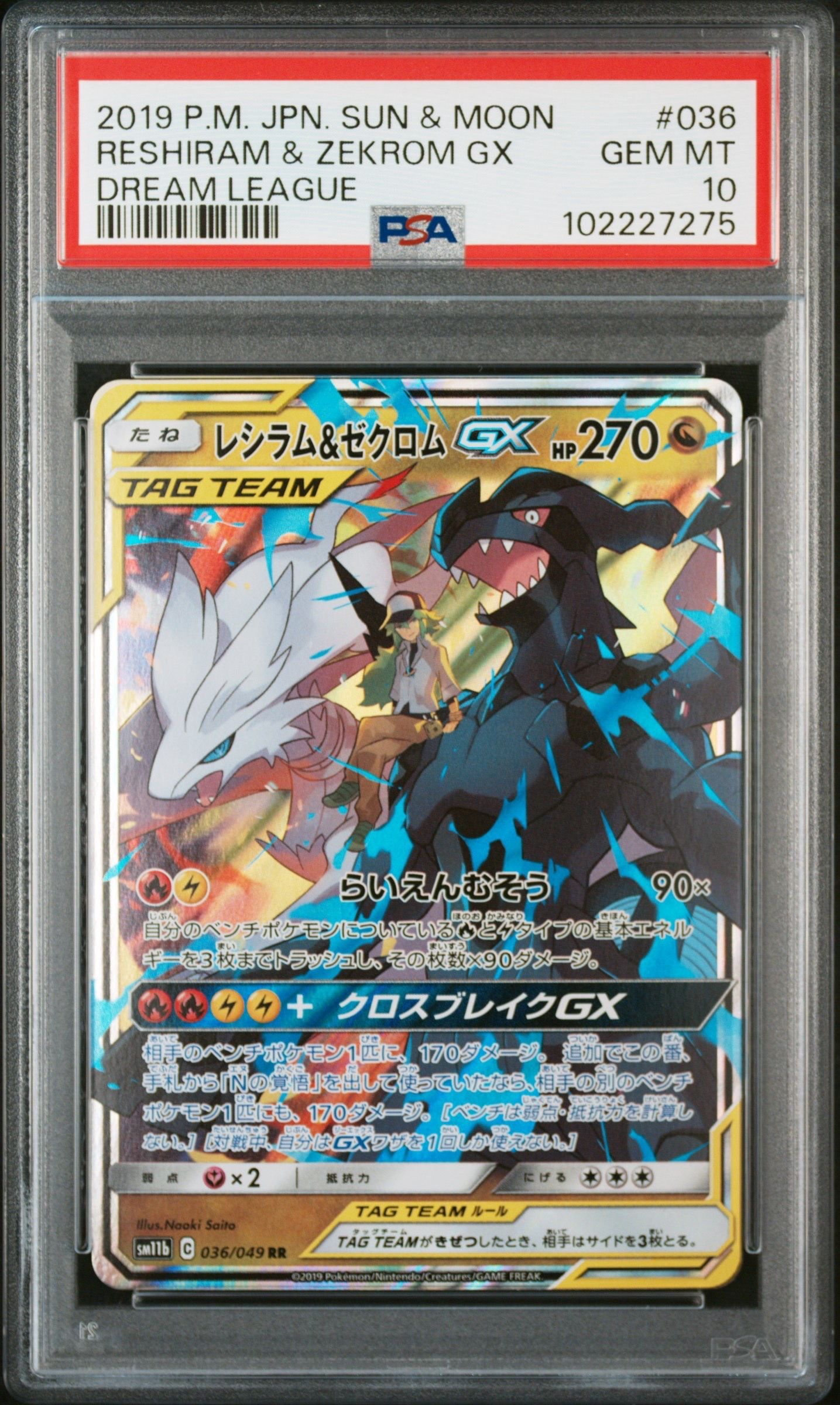 レシラム&ゼクロムGX (N) RR[SM11b 036/049](強化拡張パック「ドリームリーグ」)
