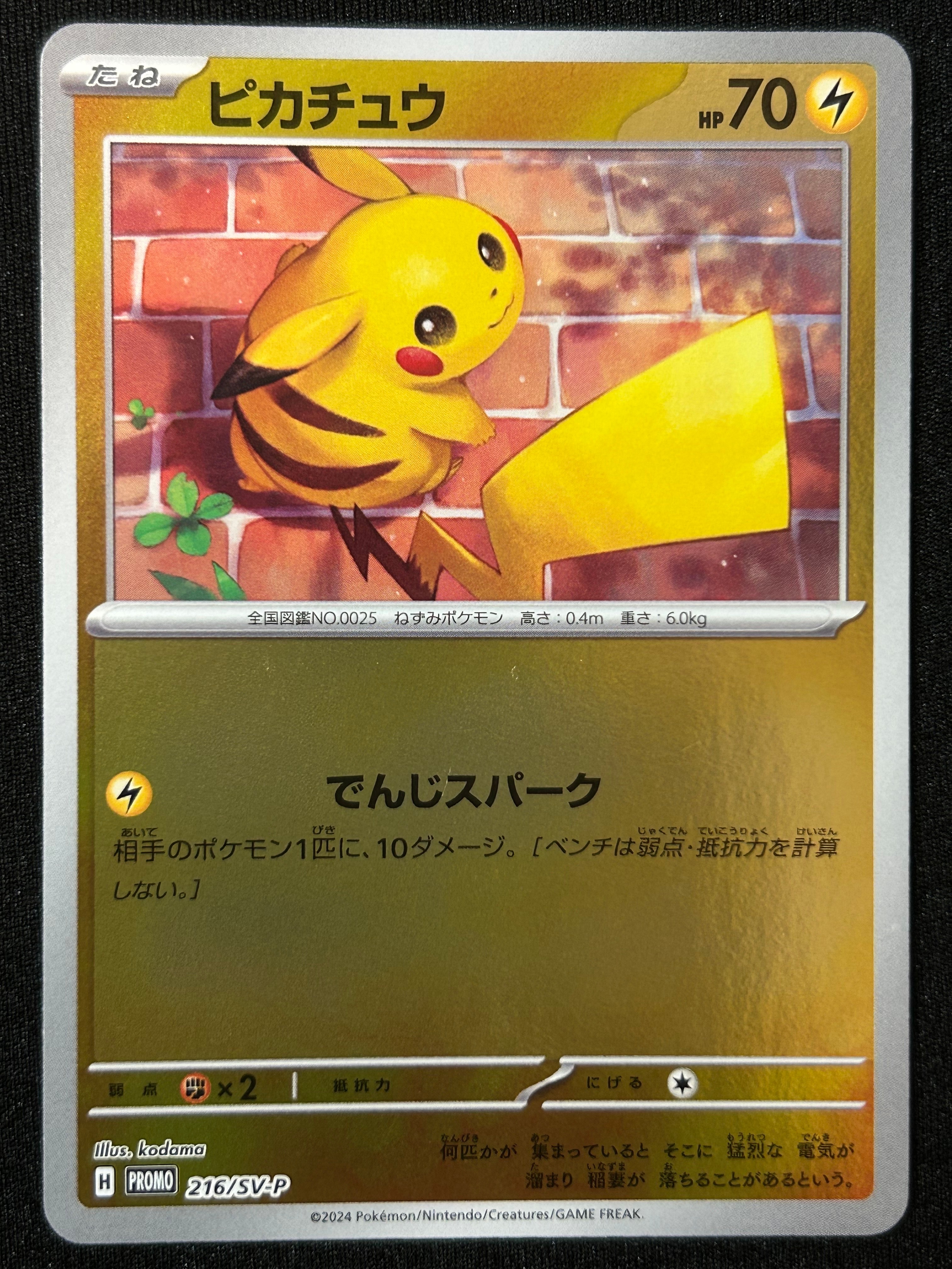 ピカチュウ P [SV-P 216](プロモカードパック「ポケカの夏がキタ!プロモカードGetキャンペーン!」)
