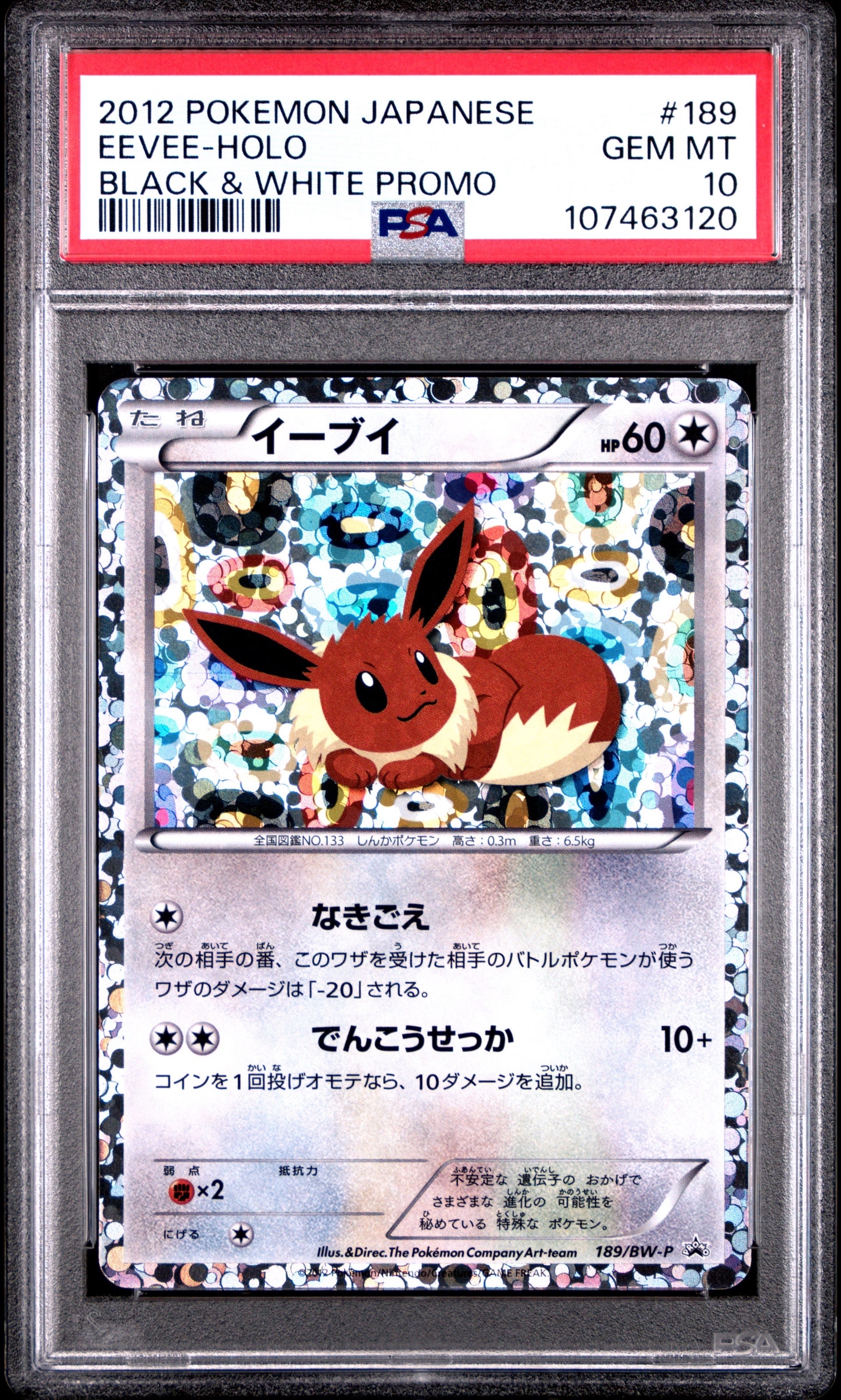 イーブイ P [BW-P 189/BW-P](プロモーションカード「コレクション