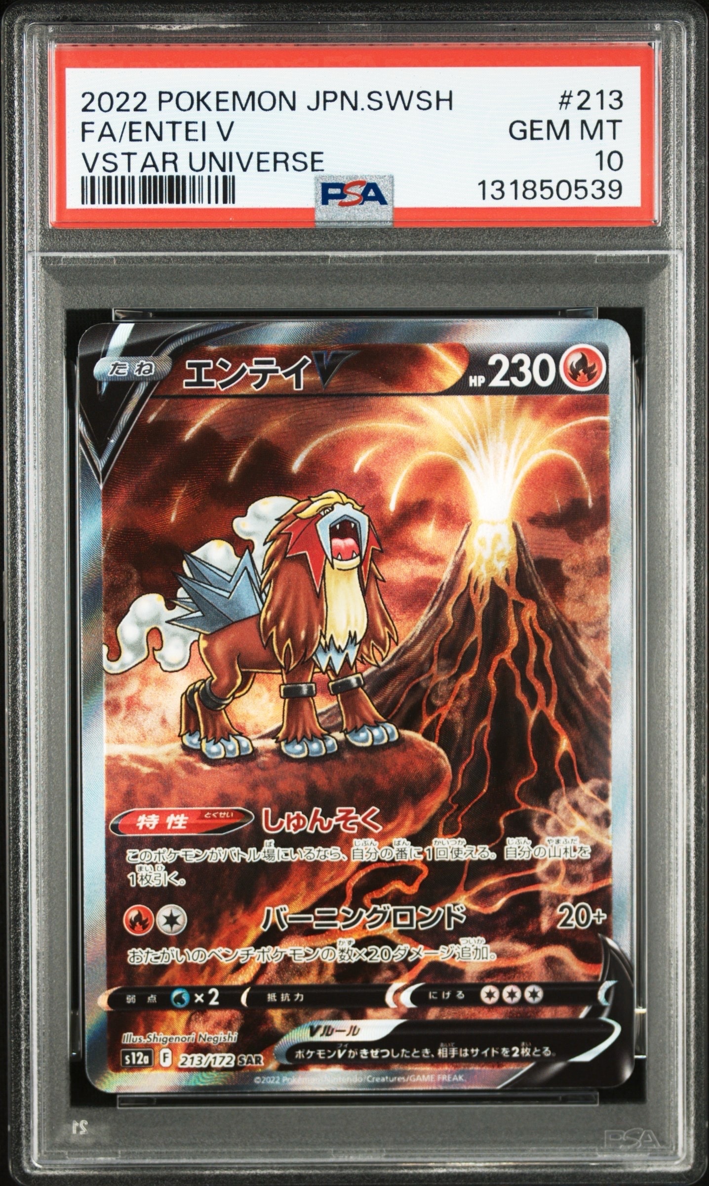 エンテイV SAR[s12a 213/172](ハイクラスパック「VSTARユニバース」)