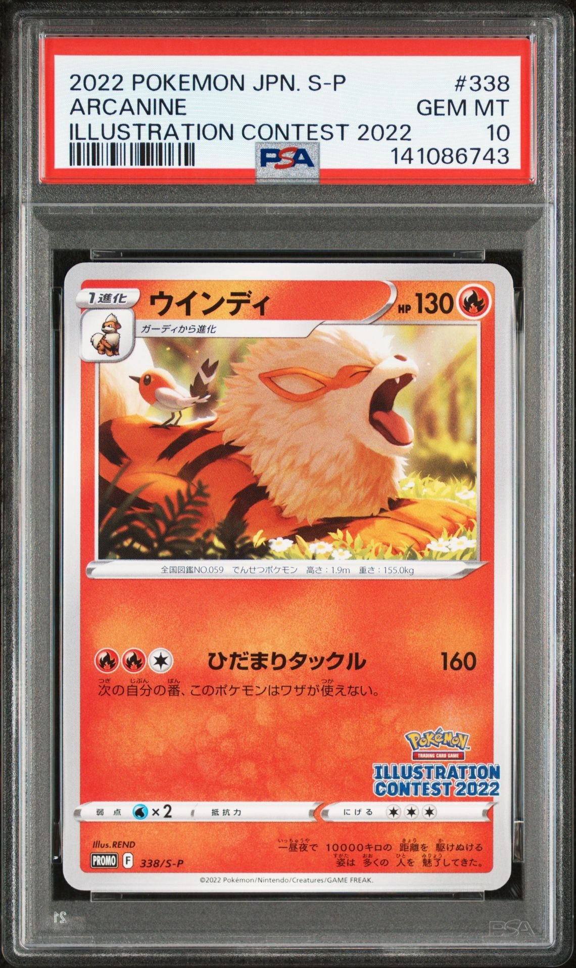 ウインディ プロモ[PROMO338 S-P](プロモーションカード「ポケモンセンター・ポケモンストア・ポケモンセンターオンライン2000円以上購入特典」)
