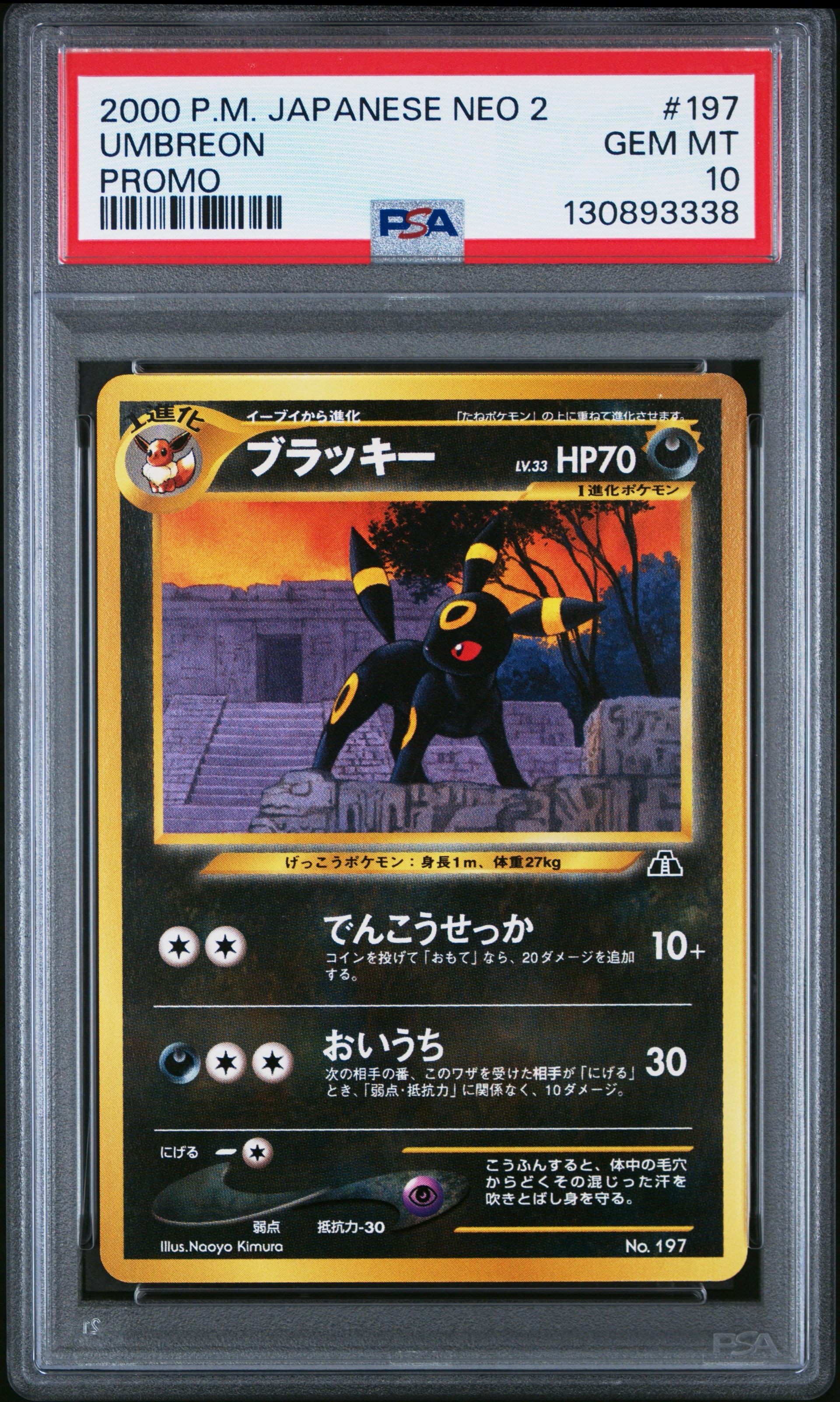 ブラッキープレミアムファイル2: 旧裏[neoP2 No.197](プレミアムファイル2)