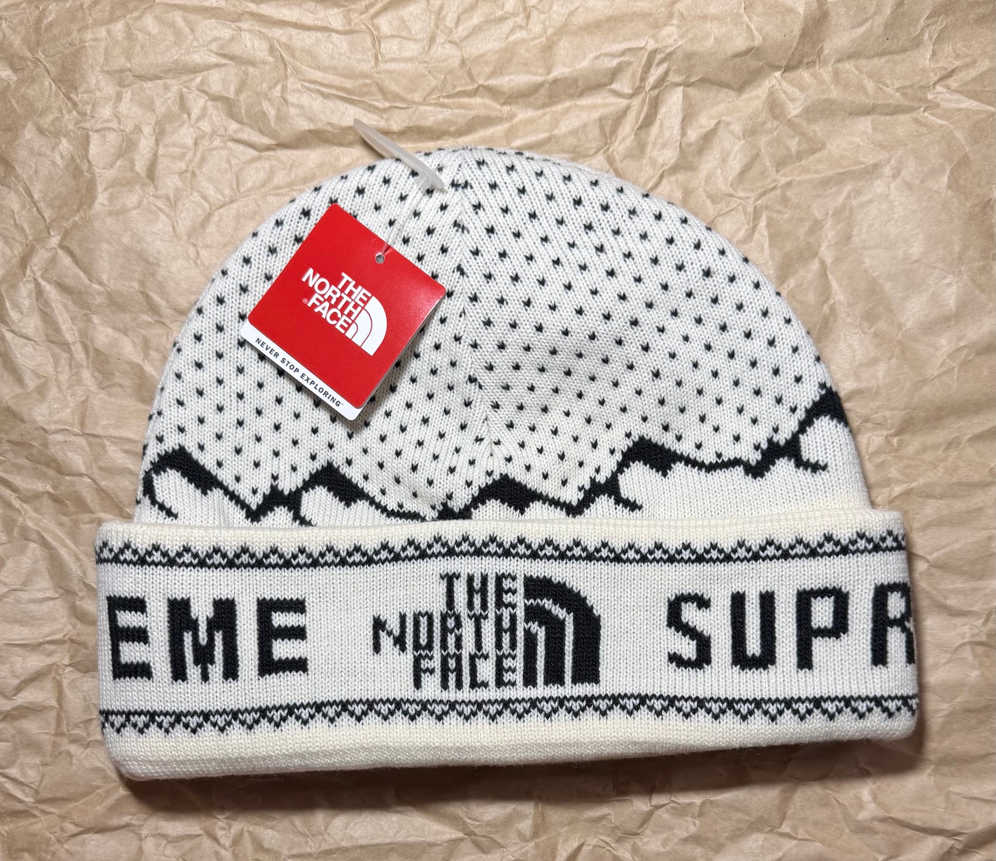 Supreme x The North Face Beanie "White"