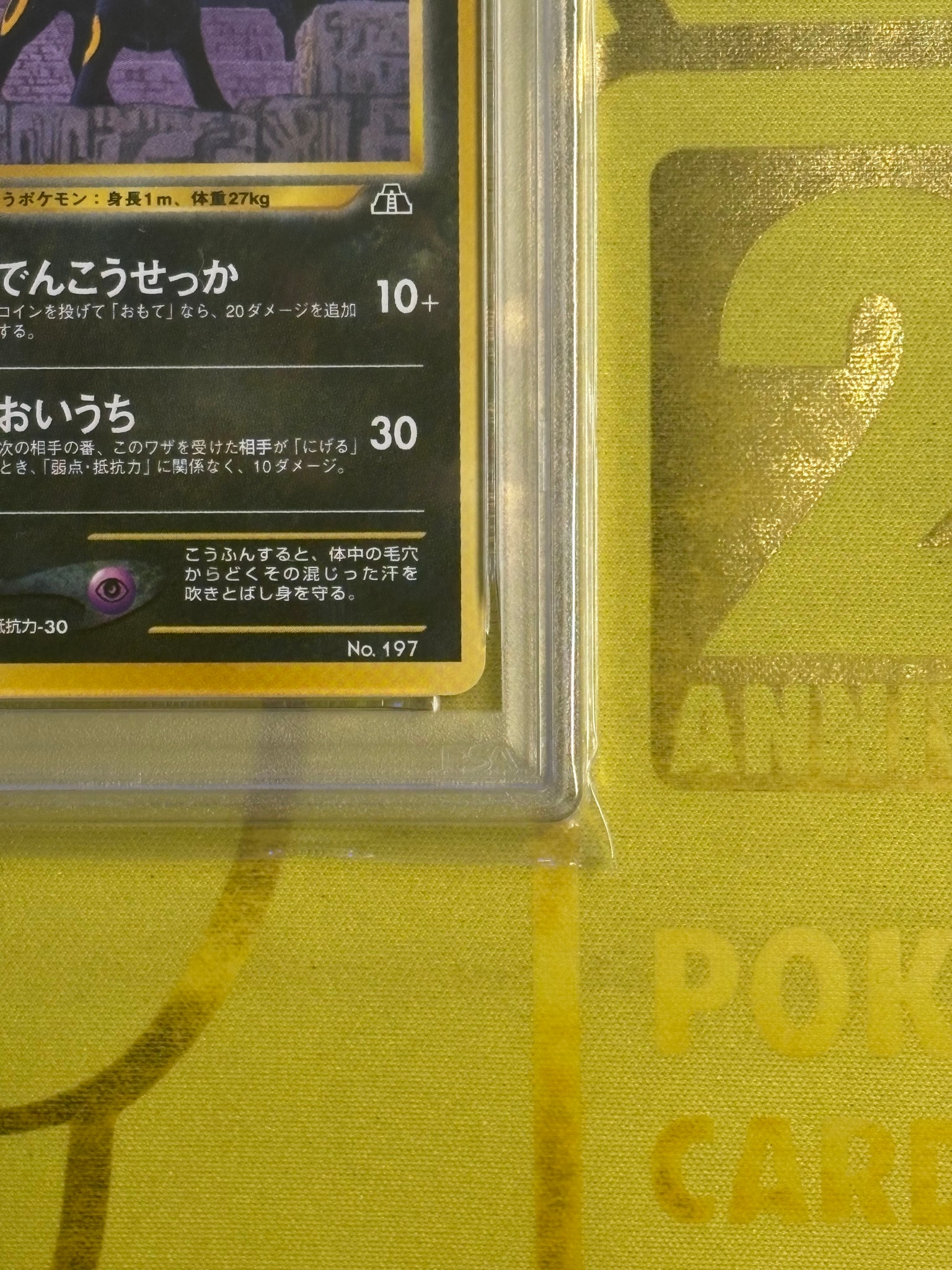 PSA8以下】ブラッキープレミアムファイル2: 旧裏[neoP2 No.197