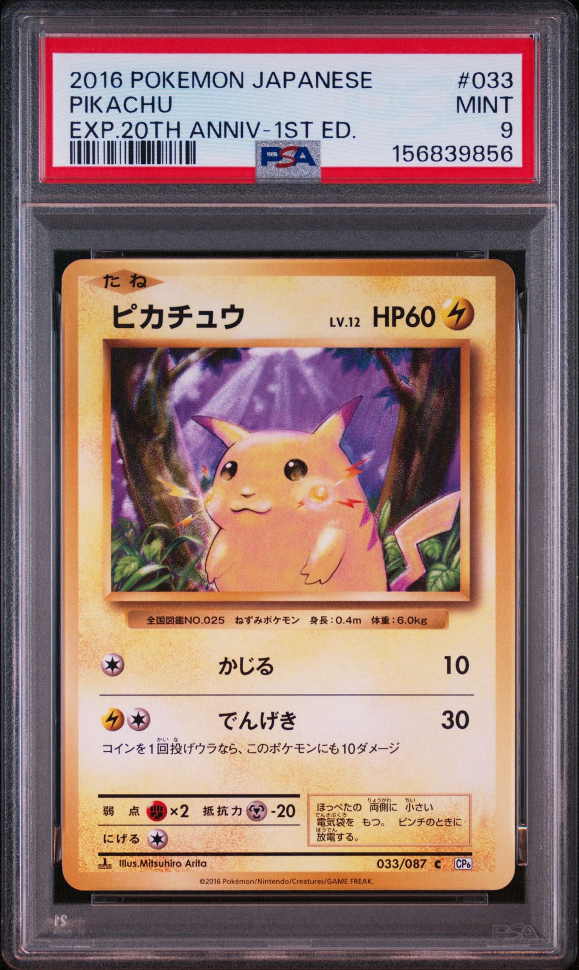 ピカチュウ C :1ED [CP6 033/087](コンセプトパック