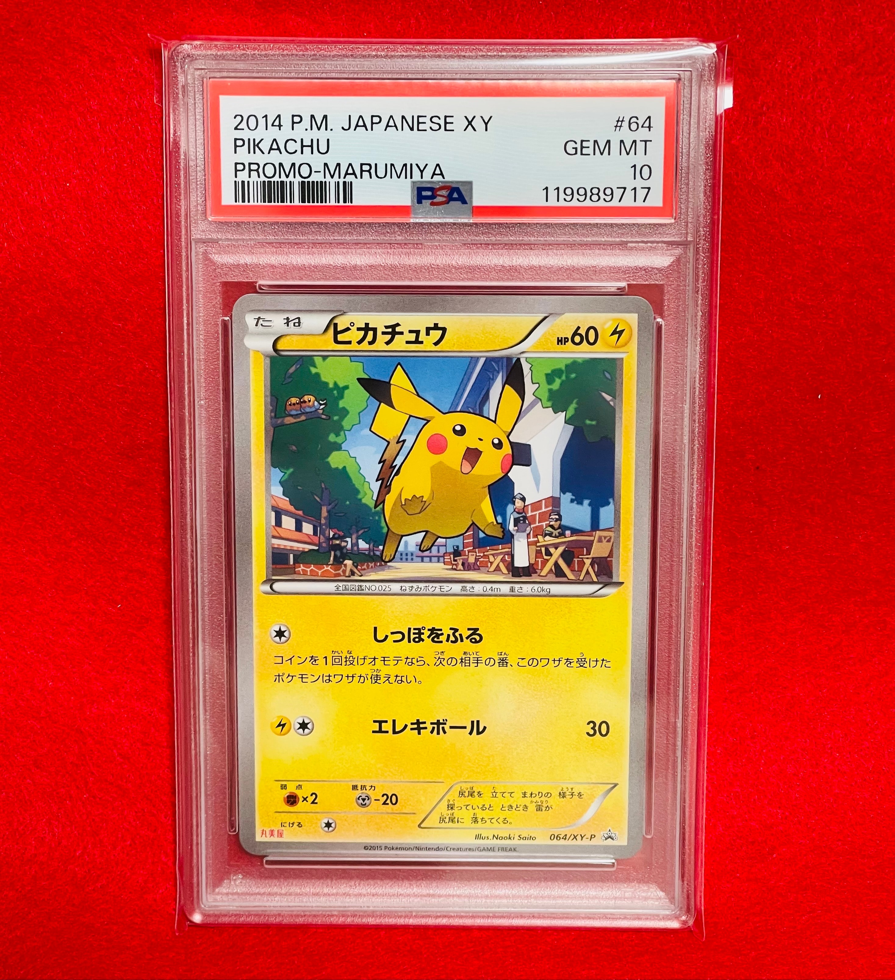 PSA10ピカチュウ　丸美屋　プロモ PSA9】ピカチュウ P [XY-P 064](プロモーションカード「丸美屋」) 1枚