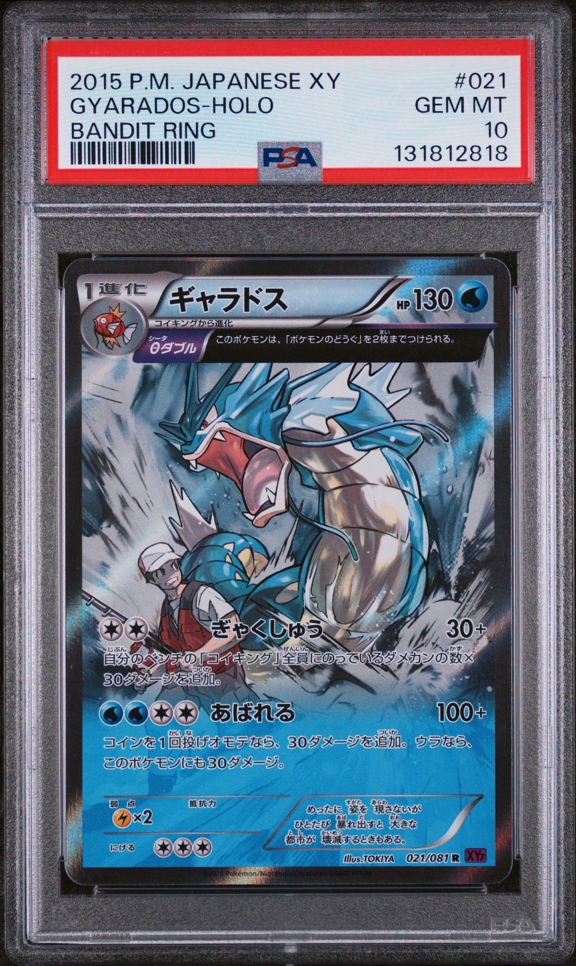 ギャラドス R [XY7 021/081](拡張パック「バンデットリング」)の新品