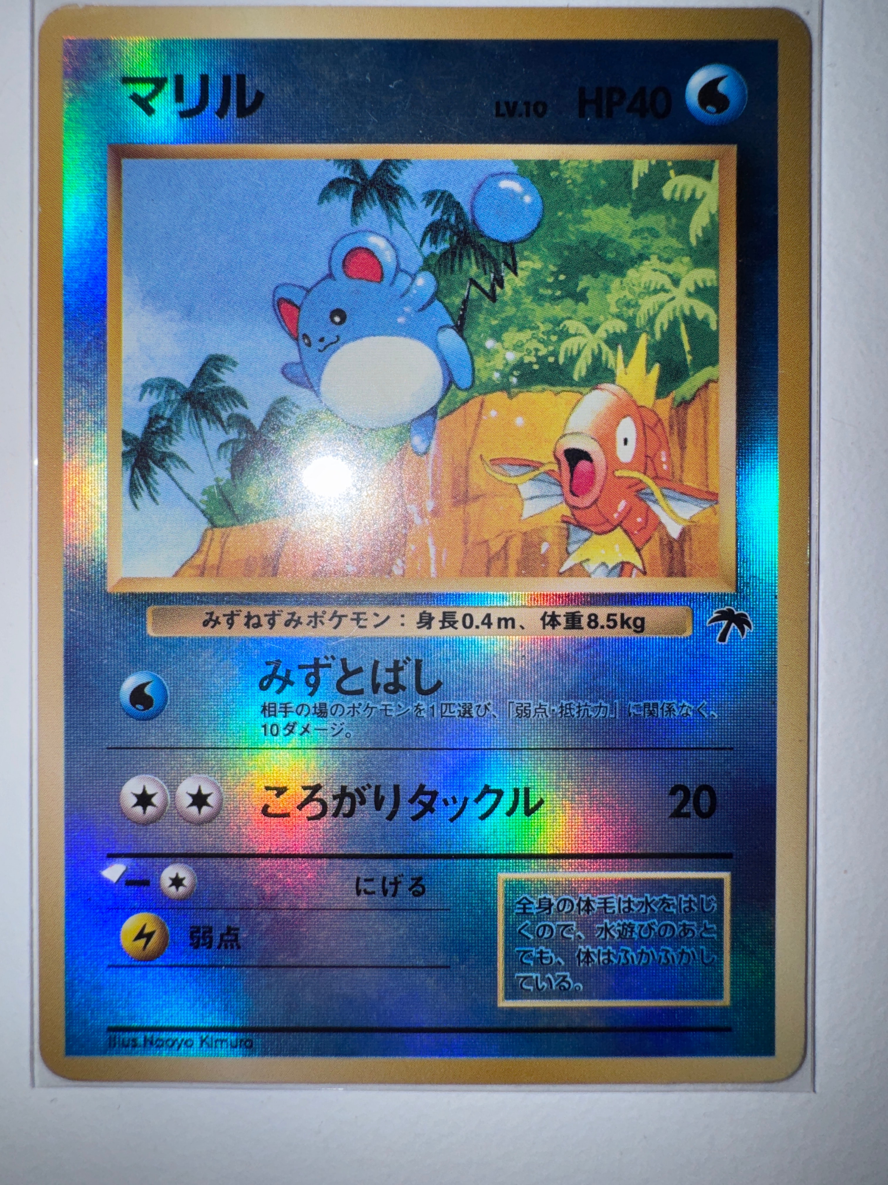 マリル : 旧裏 [PMCG-P No.183](旧裏面 プロモーションカード「サザンアイランド 映画公開記念」)