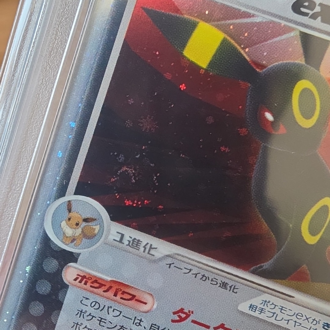 PSA8以下】ブラッキーex ☆ [PCG4 091/106](拡張パック「金の空、銀の