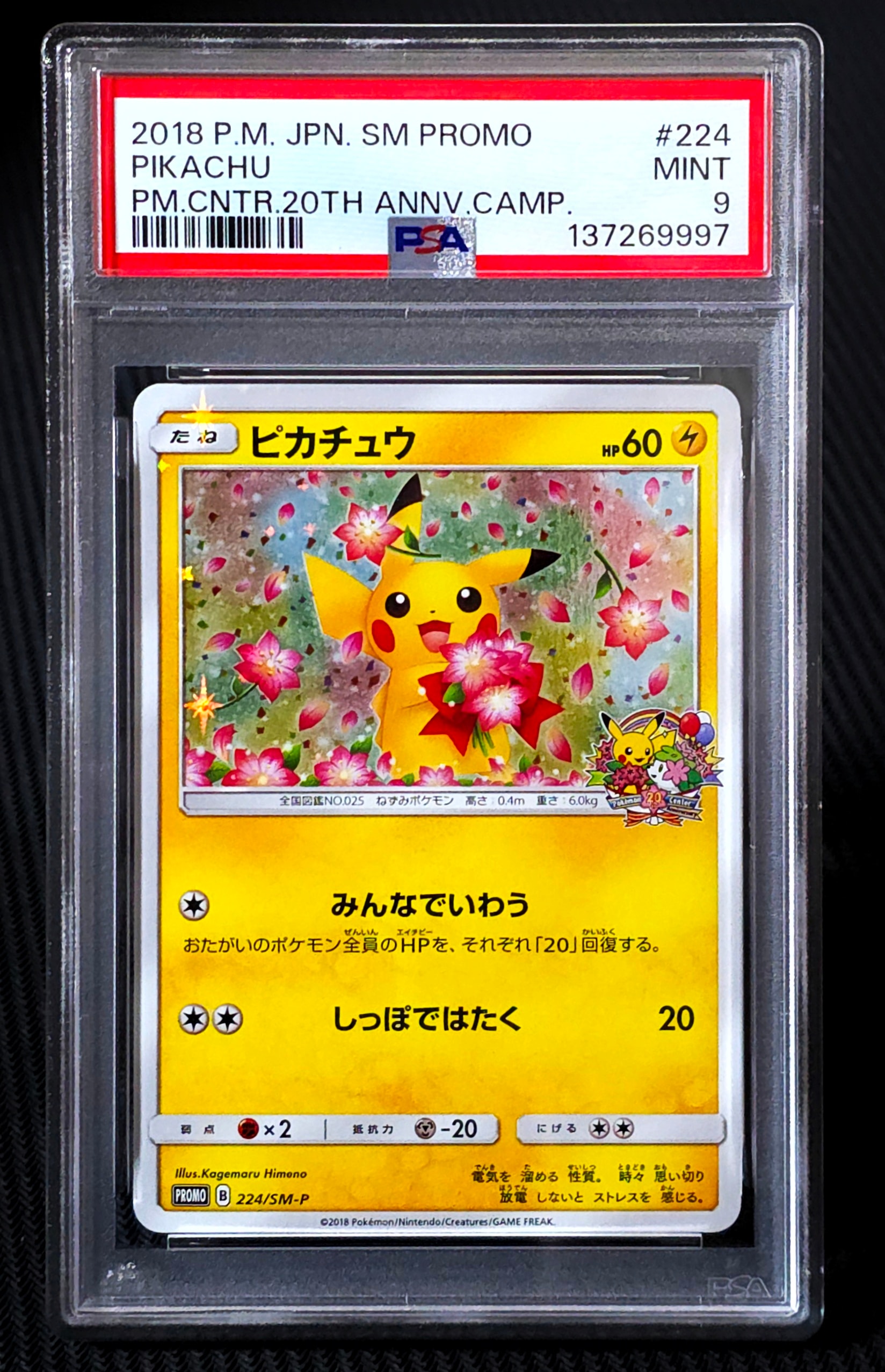 ピカチュウ: プロモ[SM-P 224](プロモーションカード「SM-P」)の新品