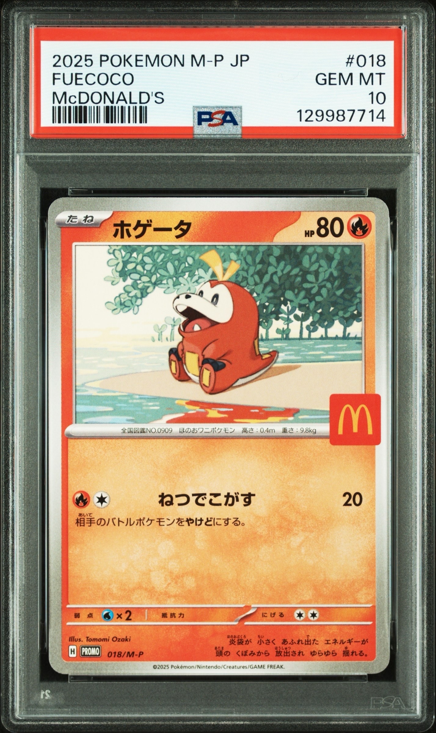 ホゲータ P [M-P 018](プロモカードパック「マクドナルド ハッピーセット2025」)