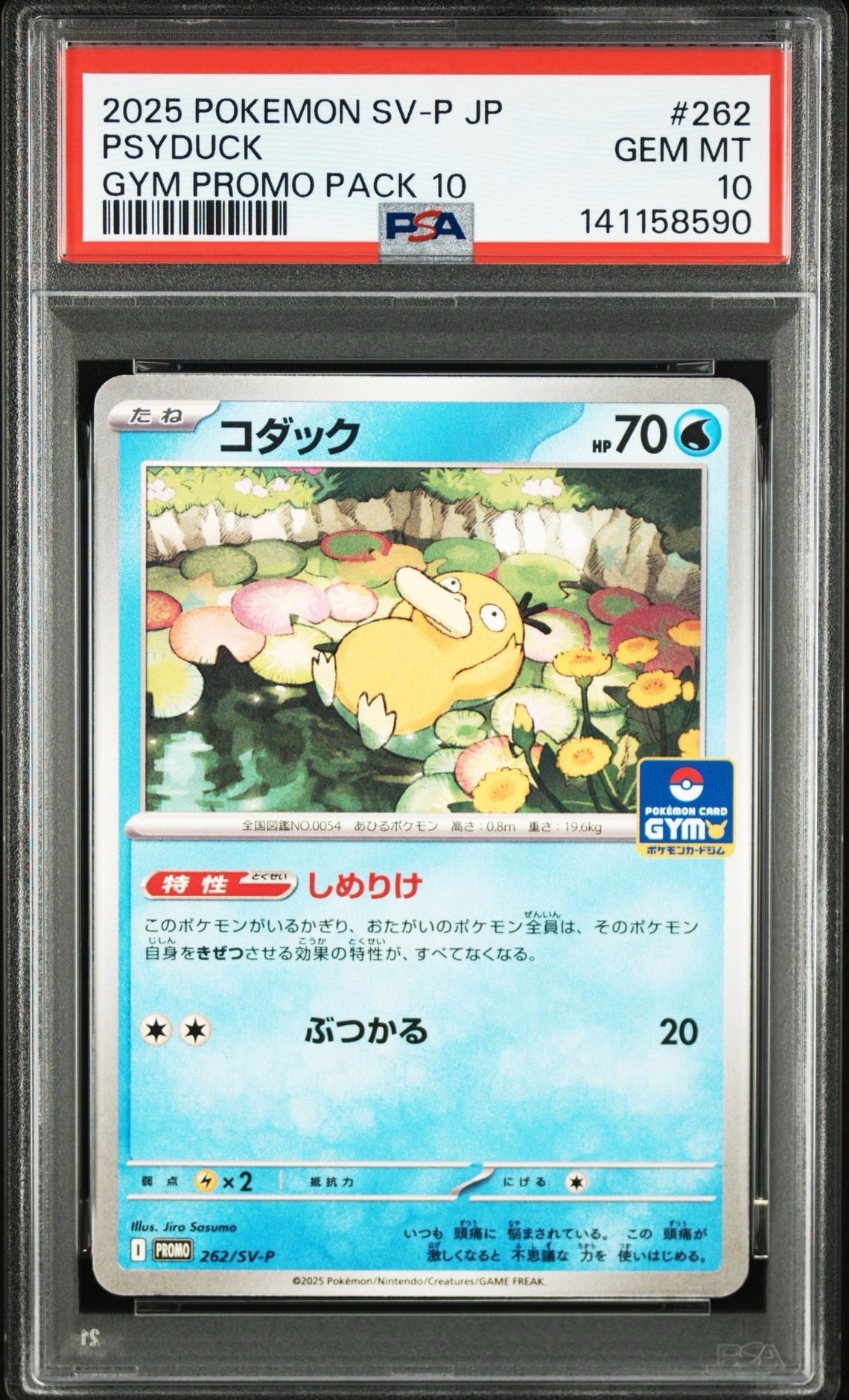 コダック P [SV-P 262](プロモカードパック「第10弾」)