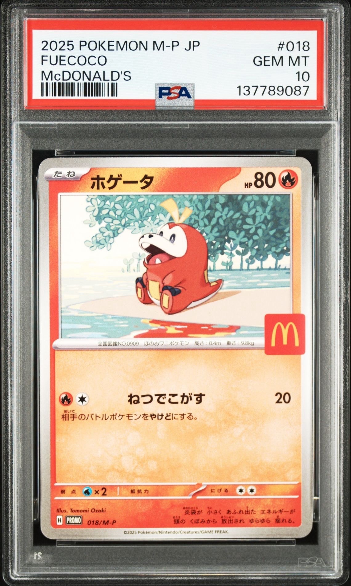 ホゲータ P [M-P 018](プロモカードパック「マクドナルド ハッピーセット2025」)
