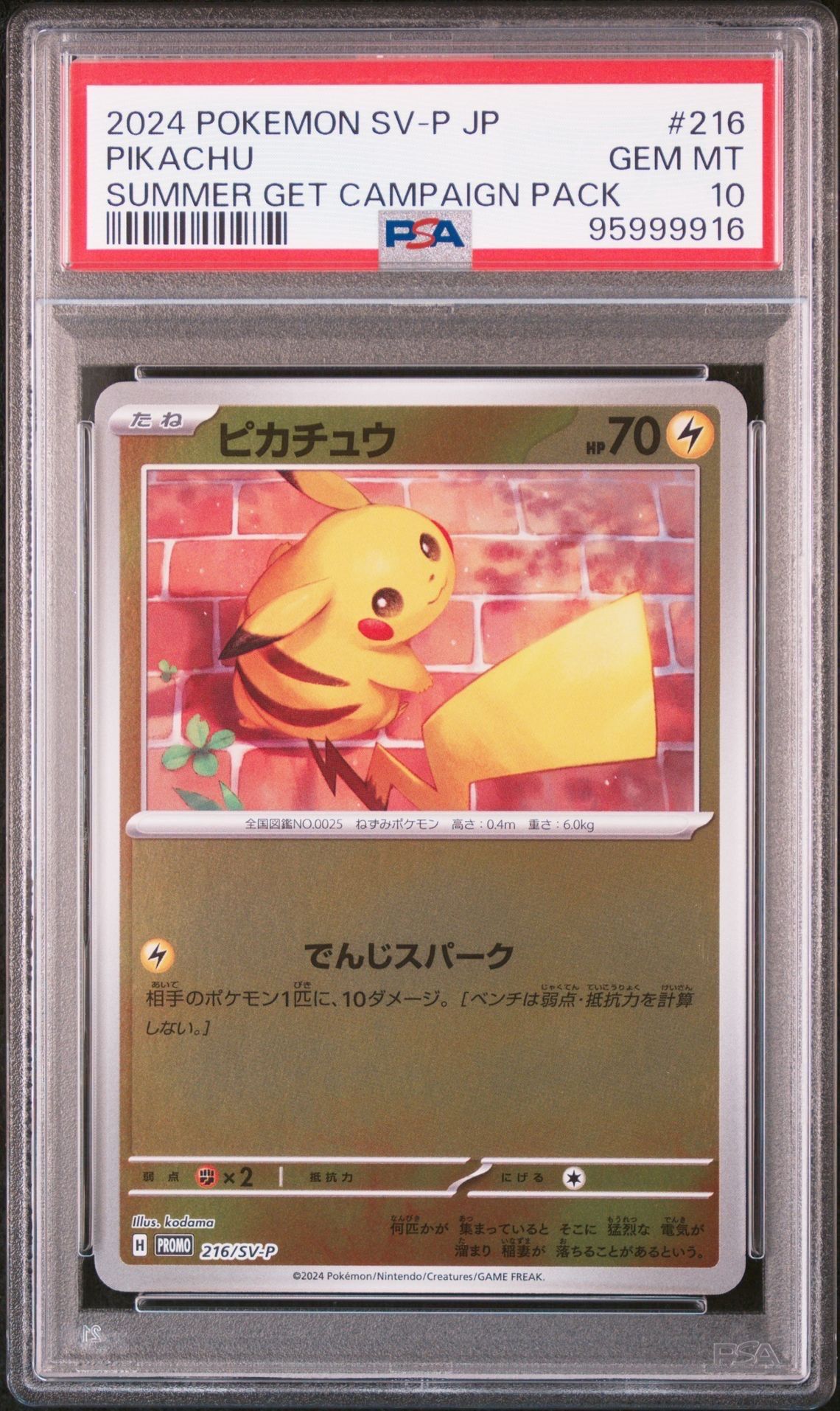 ピカチュウ P [SV-P 216](プロモカードパック「ポケカの夏がキタ!プロモカードGetキャンペーン!」)