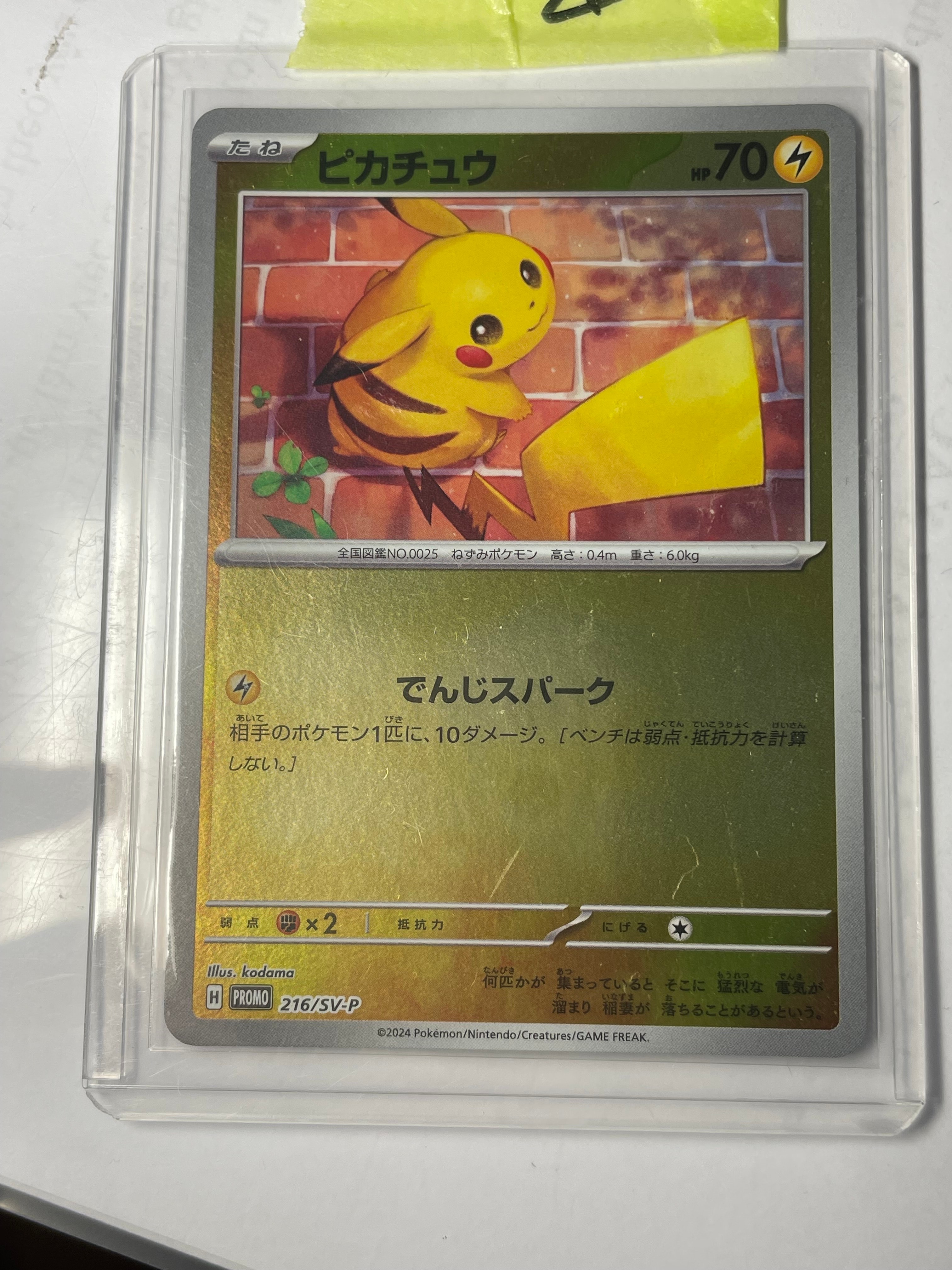 ピカチュウ P [SV-P 216](プロモカードパック「ポケカの夏がキタ!プロモカードGetキャンペーン!」)