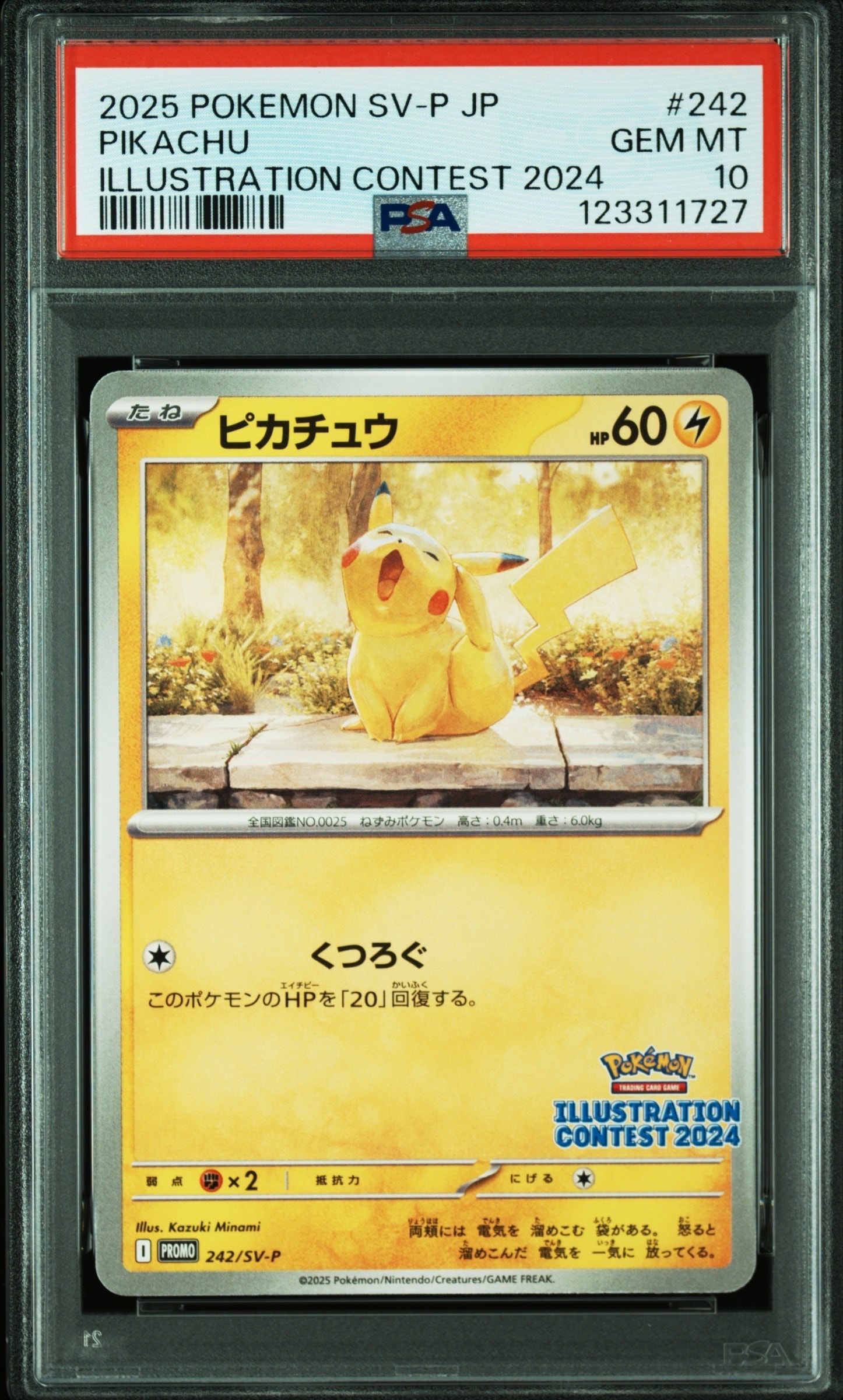 ピカチュウ [SV-P 242](プロモカードパック「イラストレーションコンテスト 2024 受賞作品プロモカード化記念キャンペーン」)
