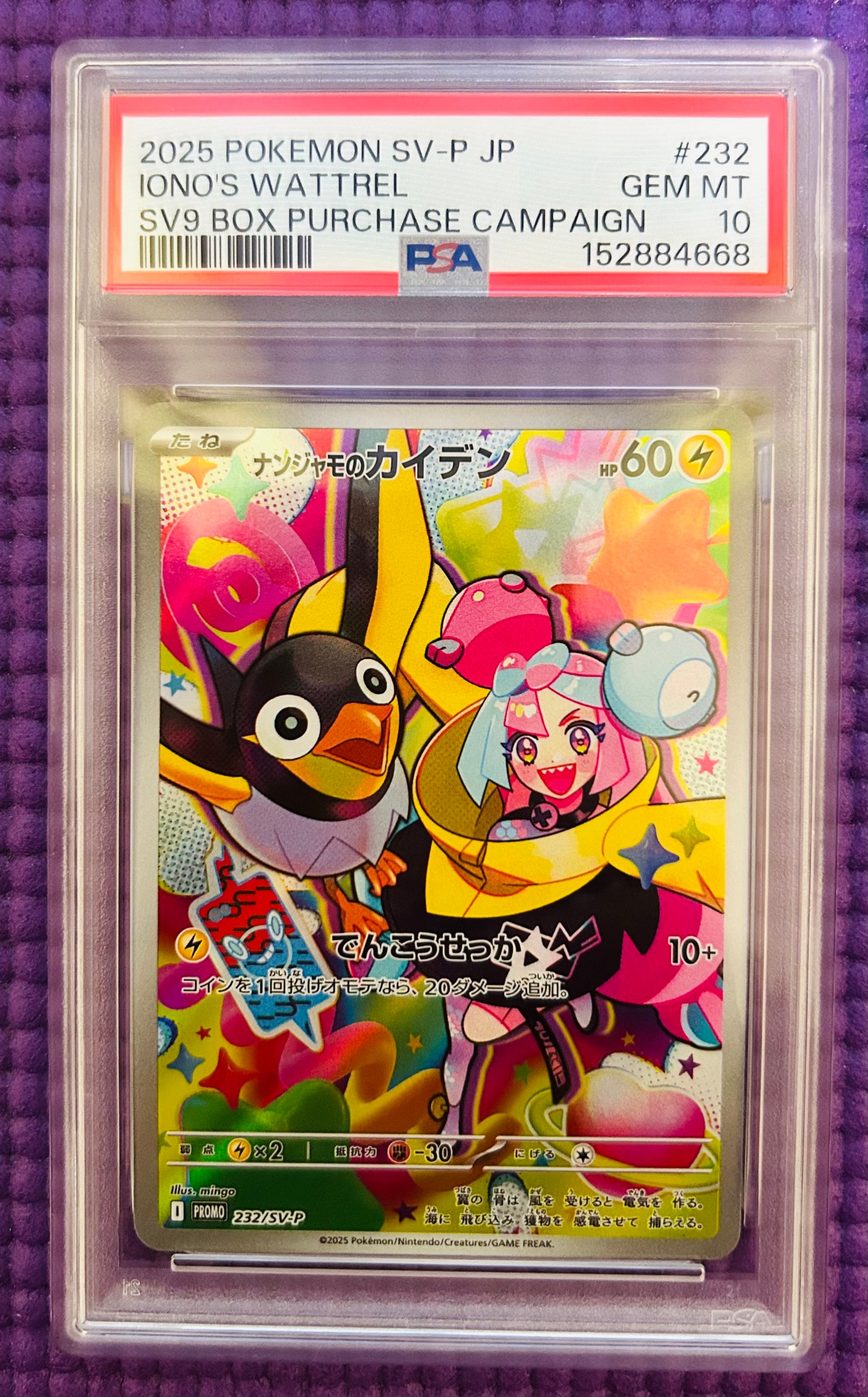 ナンジャモのカイデン P [SV-P 232](プロモーションカード「拡張パック