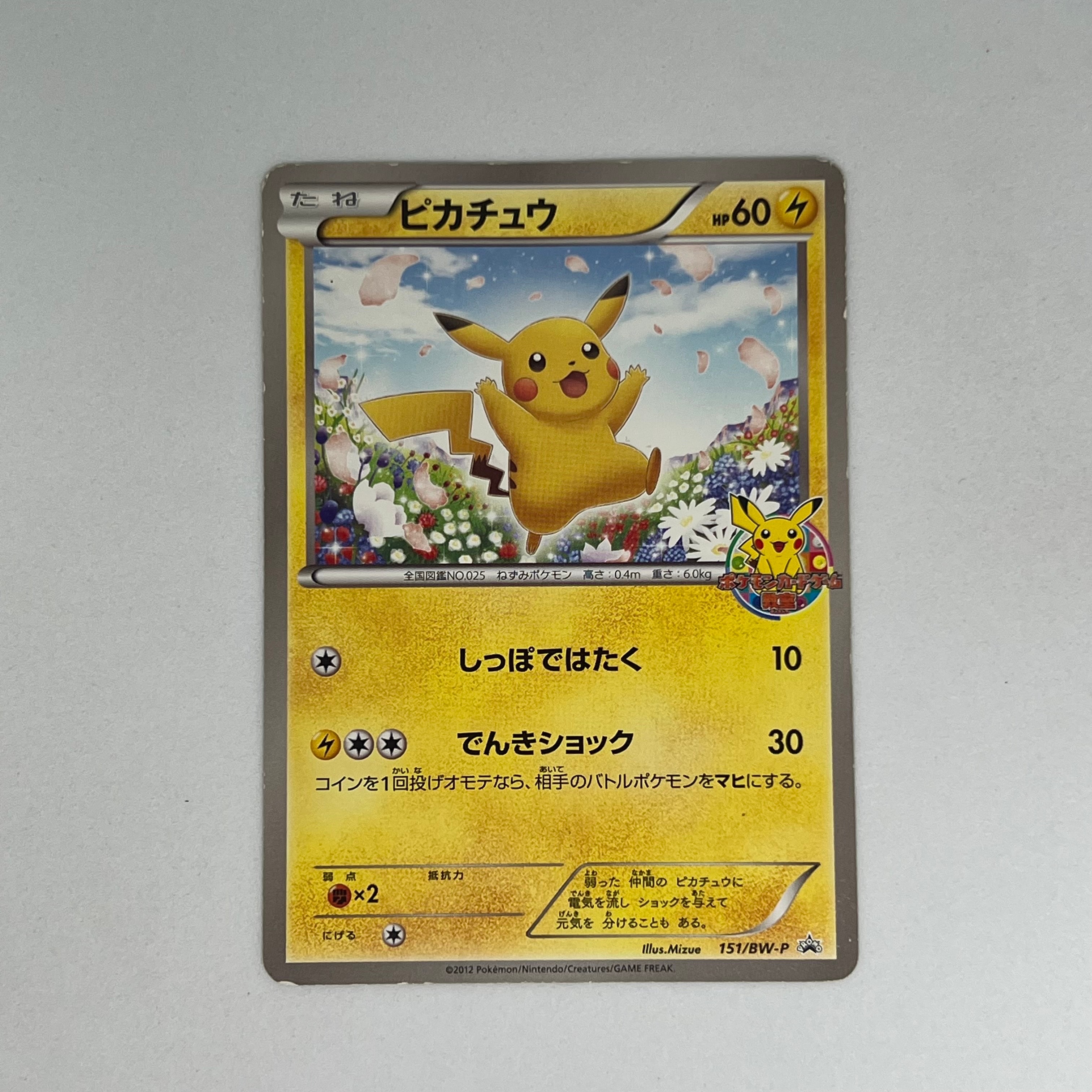 ピカチュウ P [BW-P 229/BW-P](プロモーションカード「ポケモン
