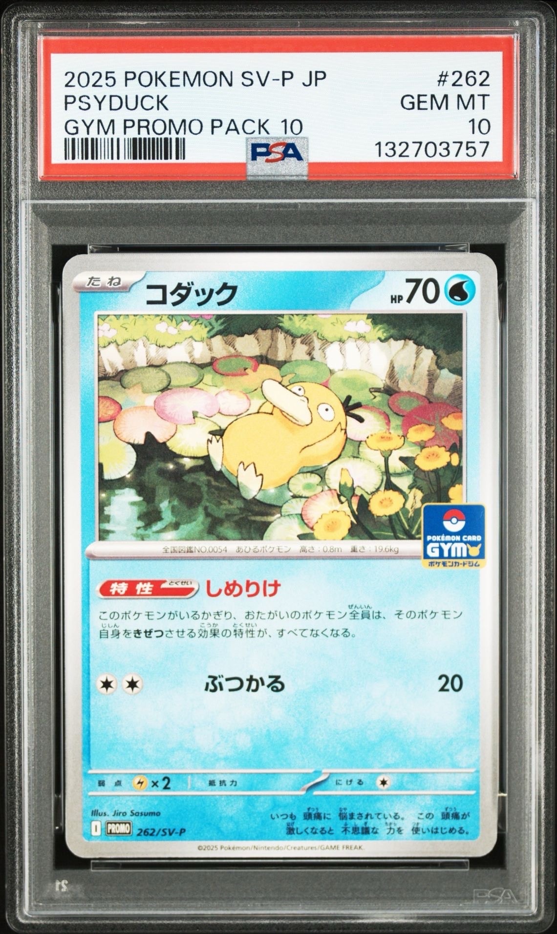 コダック P [SV-P 262](プロモカードパック「第10弾」)