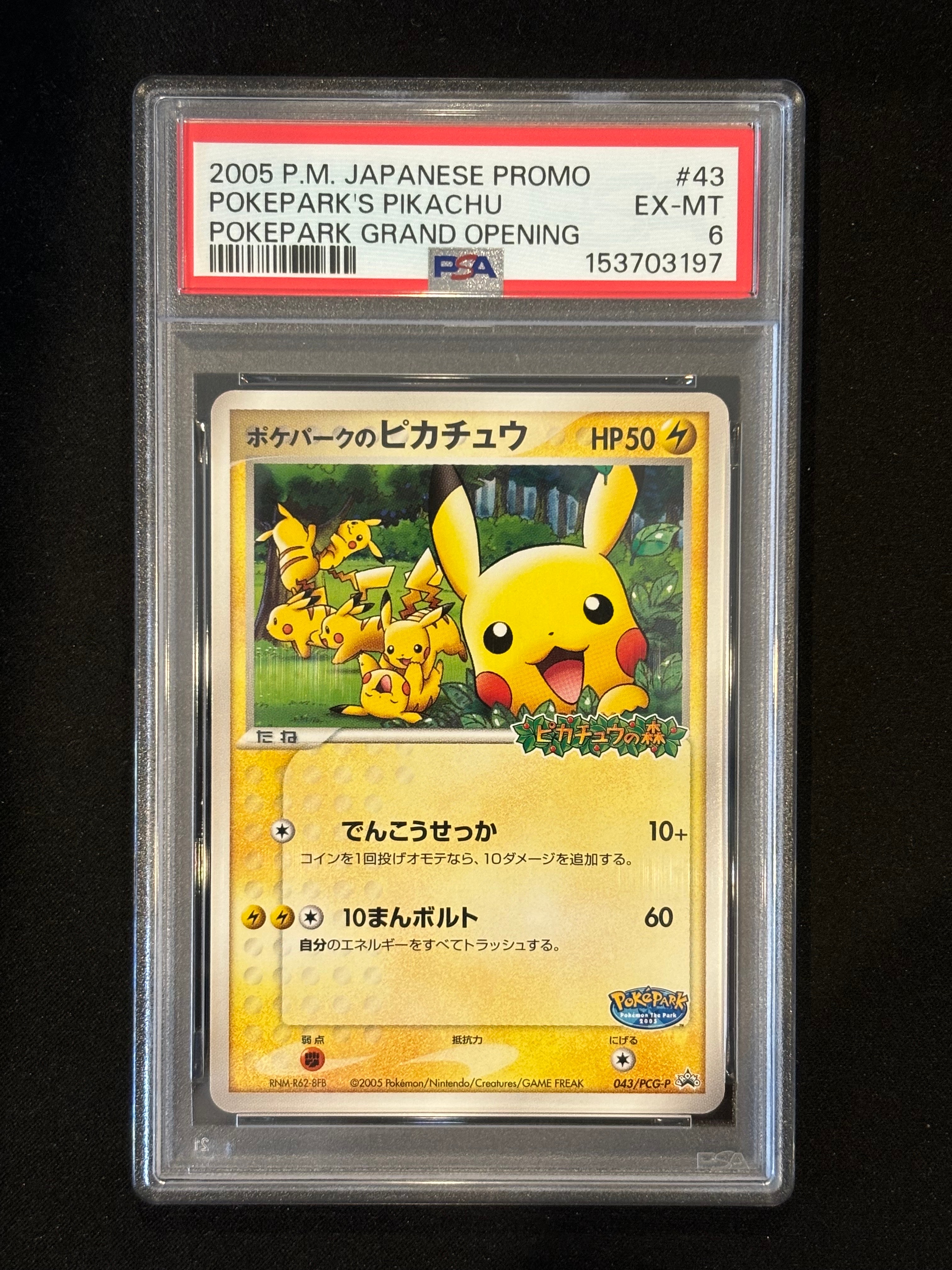 ポケパークのピカチュウ P [PCG-P 043](プロモーションカード「ポケパーク ルギアのくるくるシップ」)